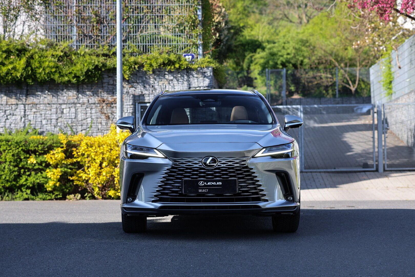 Lexus RX 450h+, 450H+ 2,5 PHEV EXECUTIVE PLUS - fotka 3