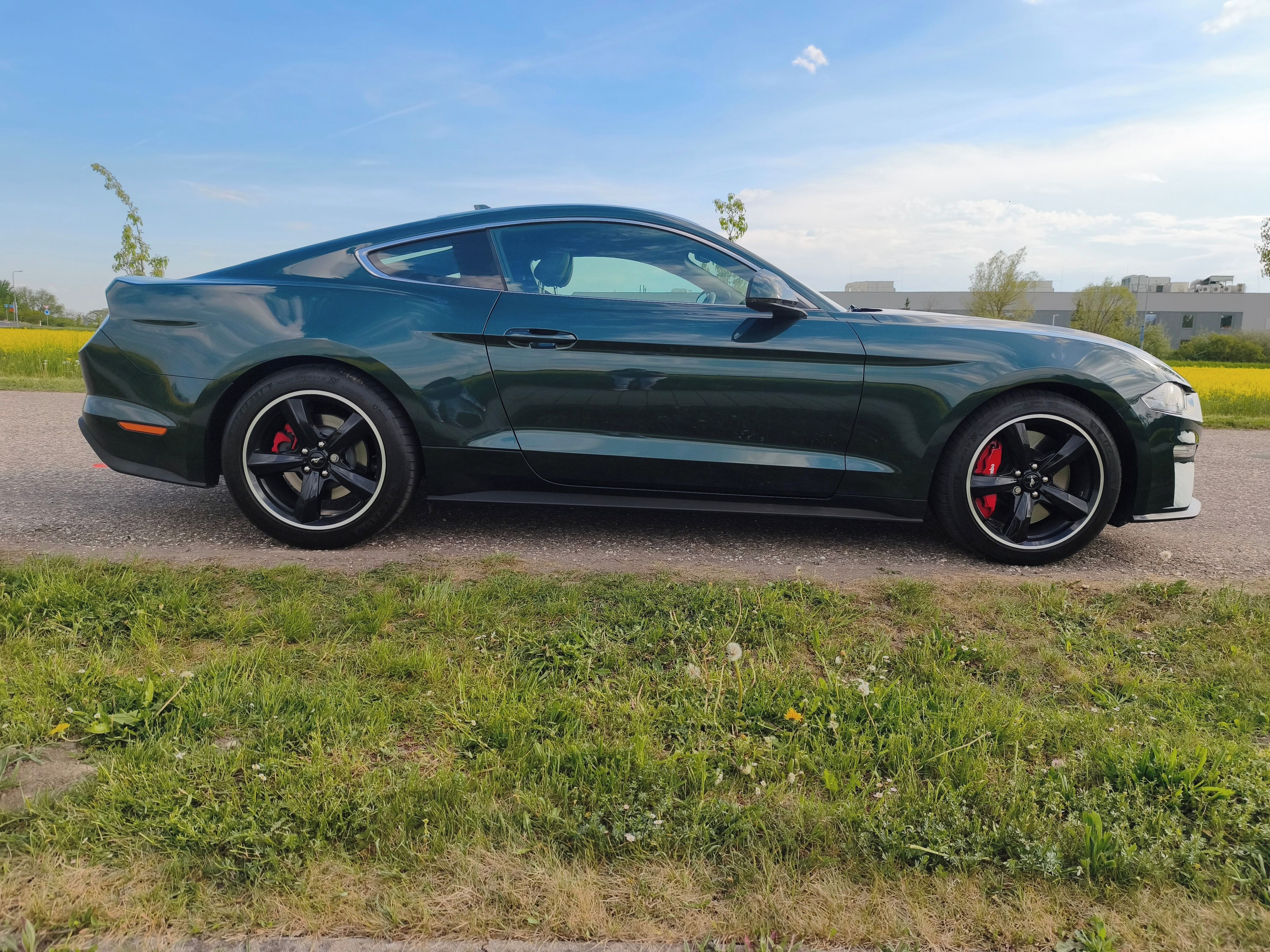 Ford Mustang, 5.0 V8 BULLITT L3379 NOVÁ STK - fotka 4