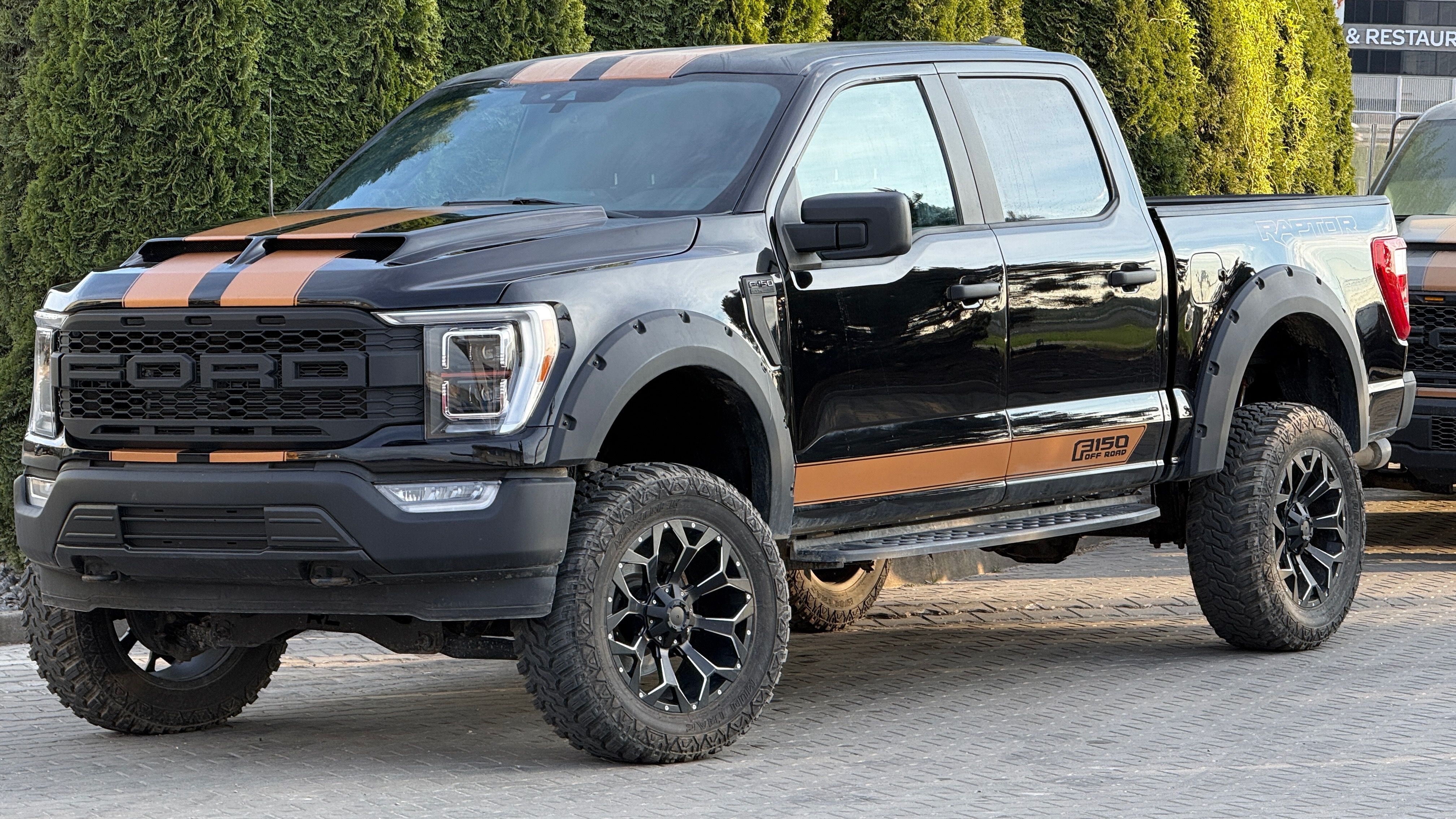Ford F-150, 5.0L Raptor Optic Profi Lift - fotka 4