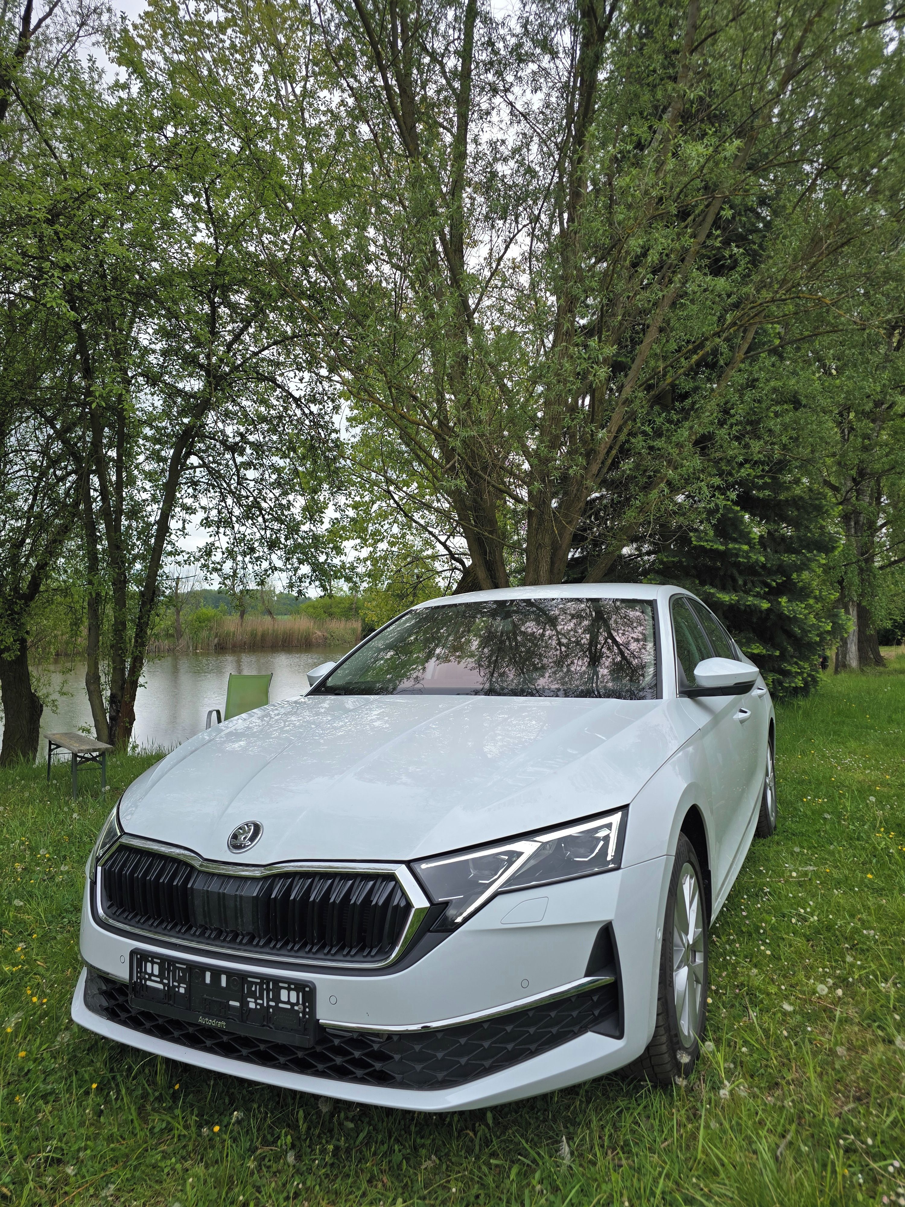Škoda Octavia, SKODA OCTAVIA IV FACRLIFT 2024