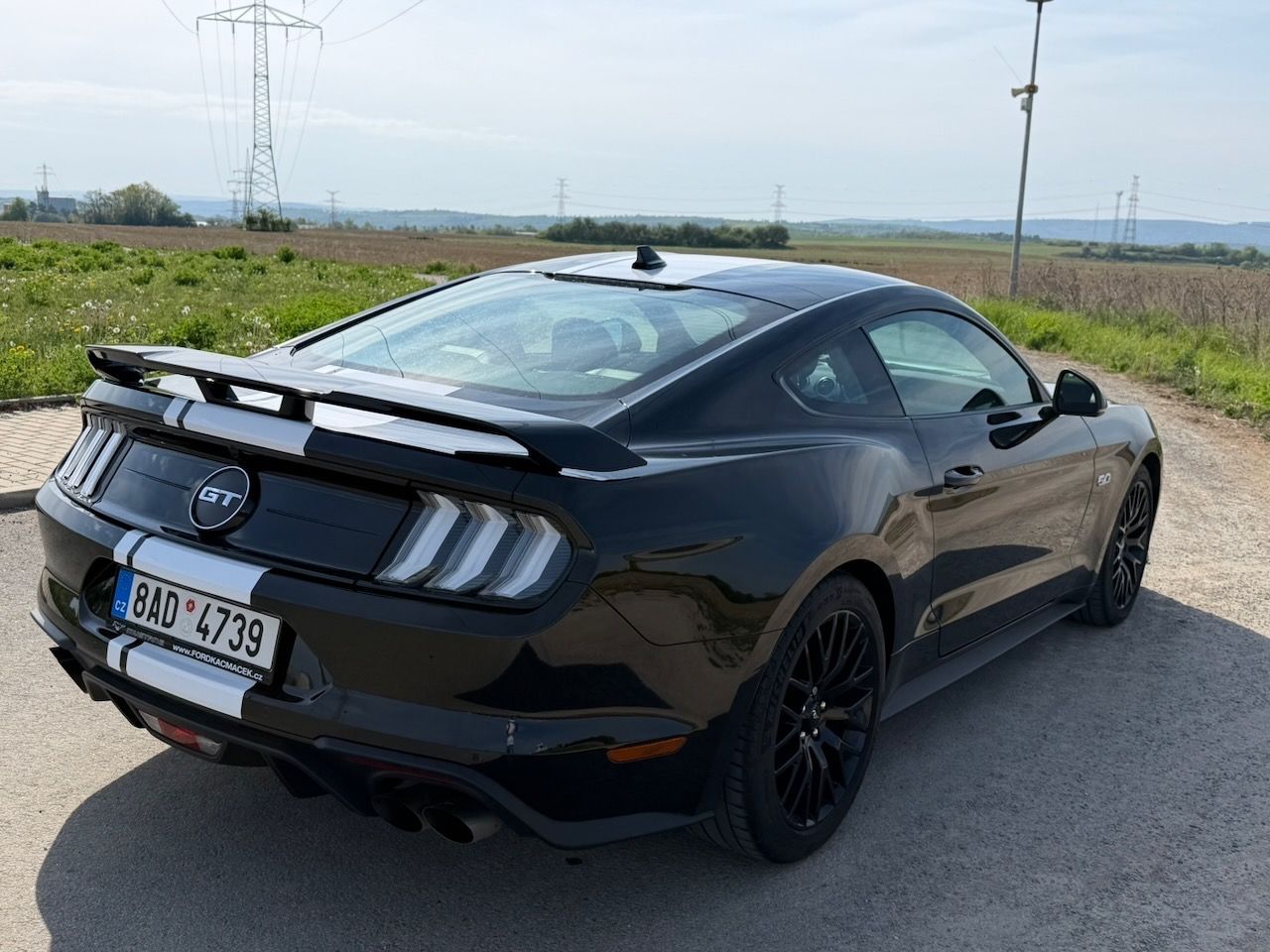 Ford Mustang, GT a 55 years edition - fotka 4