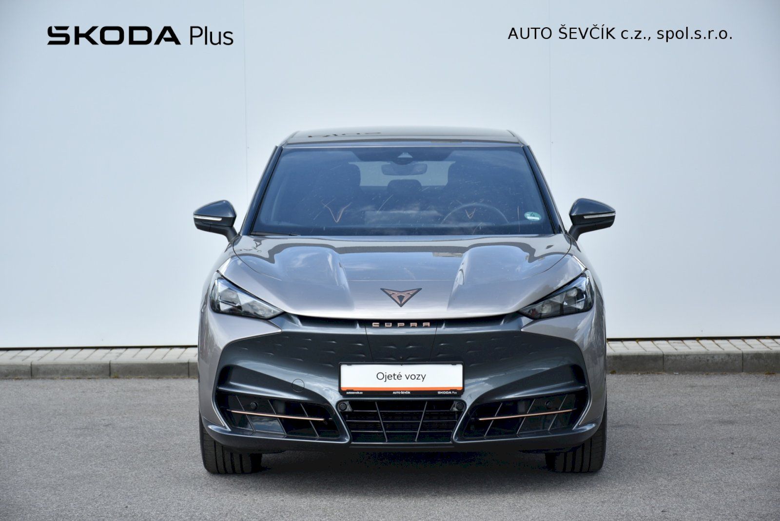 Cupra Tavascan, ENDURANCE 210kW - fotka 4