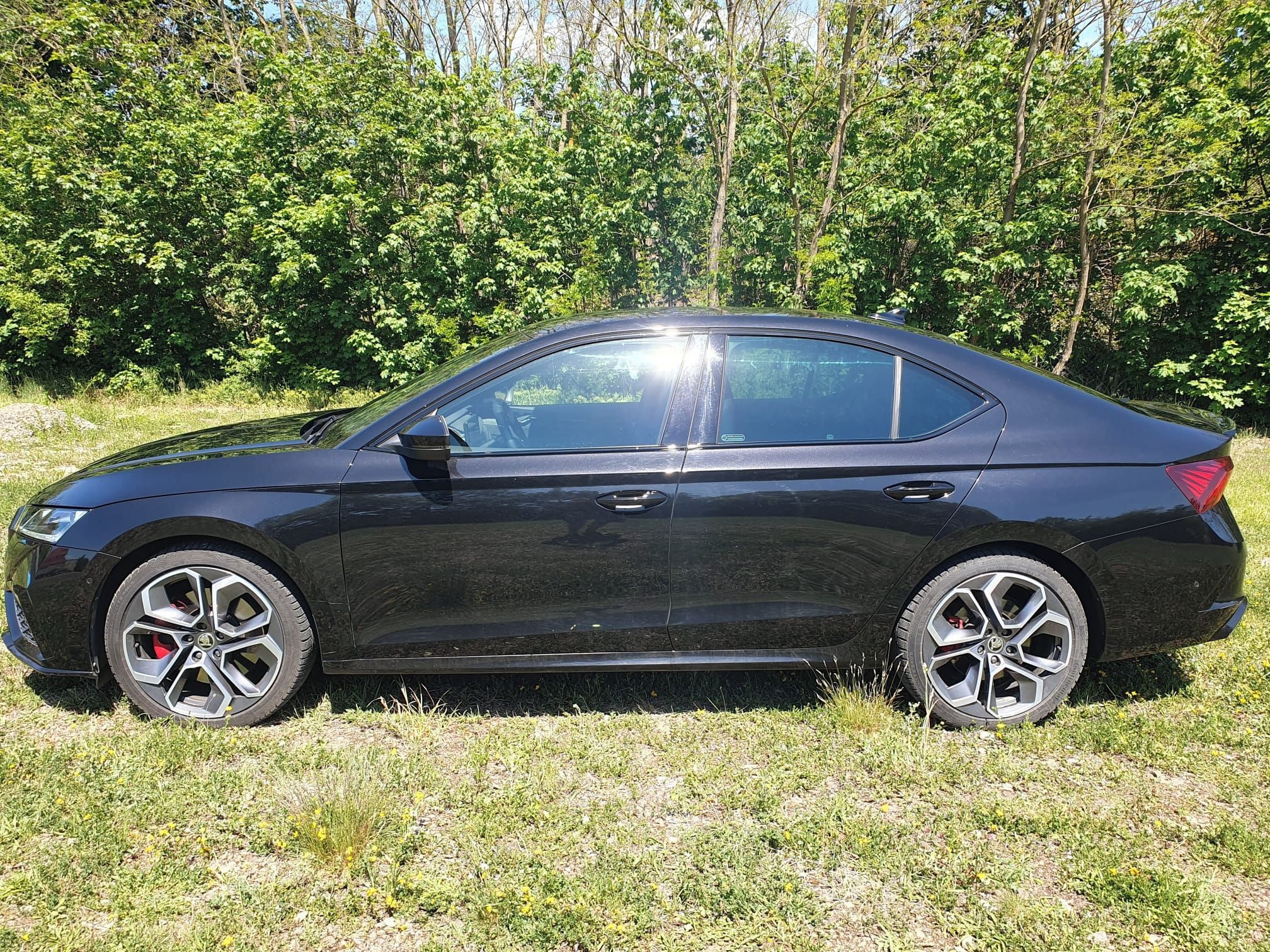 Škoda Octavia, 2.0 TSI RS 180kW ČR webasto - fotka 3
