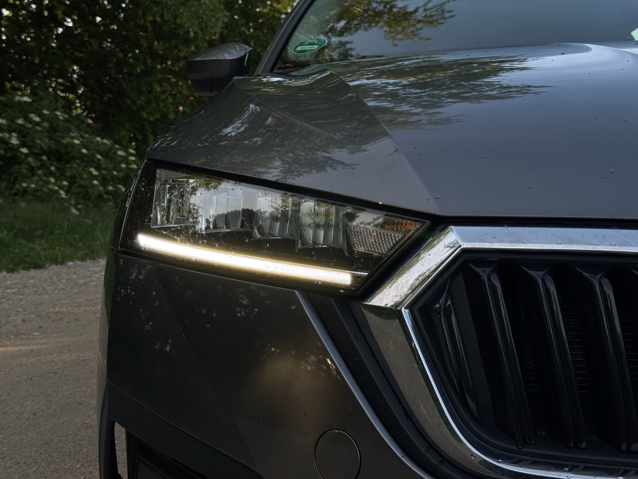 Škoda Octavia, IV combi 2.0 TDI (85 kW/116k) - fotka 5
