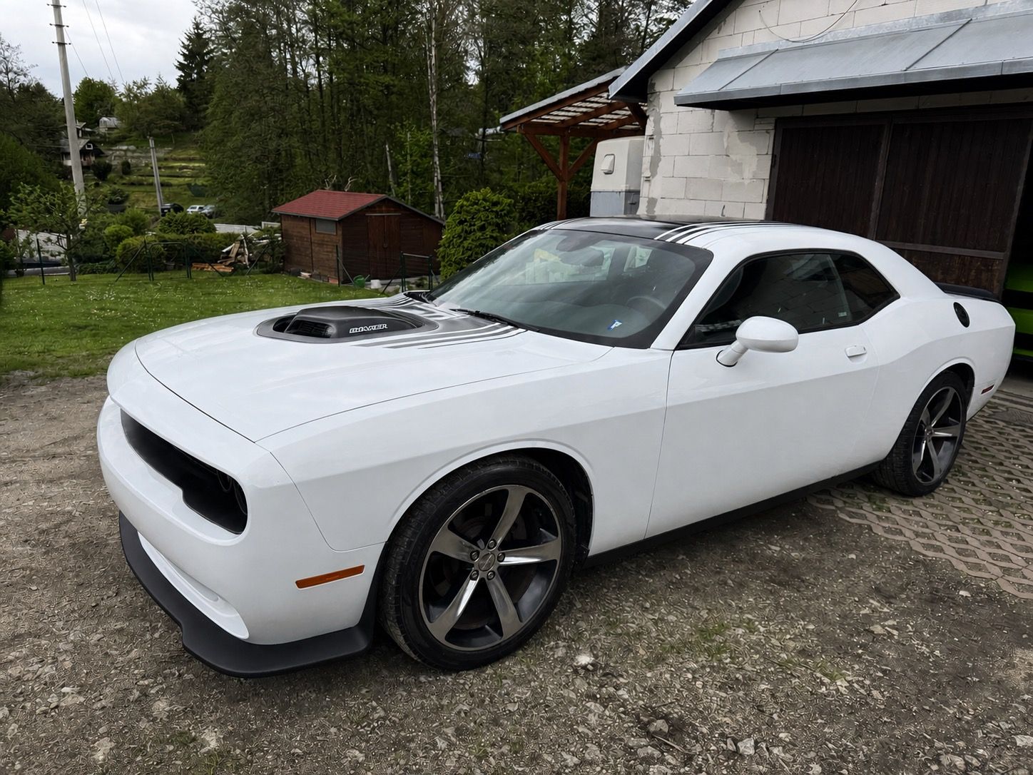 Dodge Challenger, Dodge Challenger 5.7 V8 Shaker - fotka 3