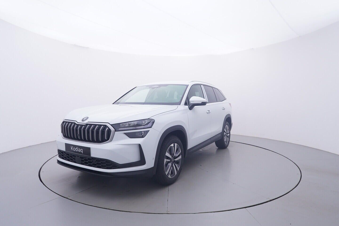 Škoda Kodiaq, Selection 2.0 TDI 4x4 142 kW