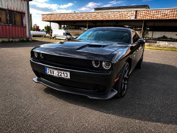 SXT