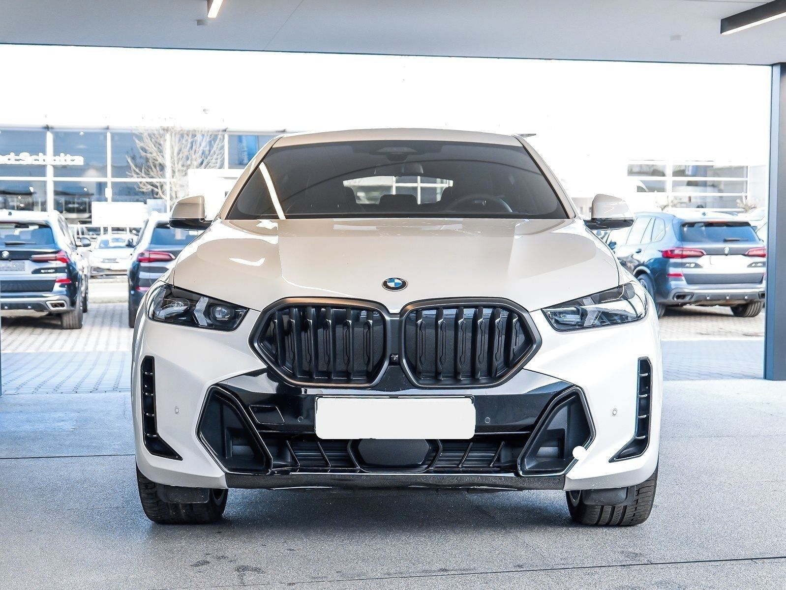 BMW X6, X6 xDrive40d M Sport HUD PANO - fotka 3