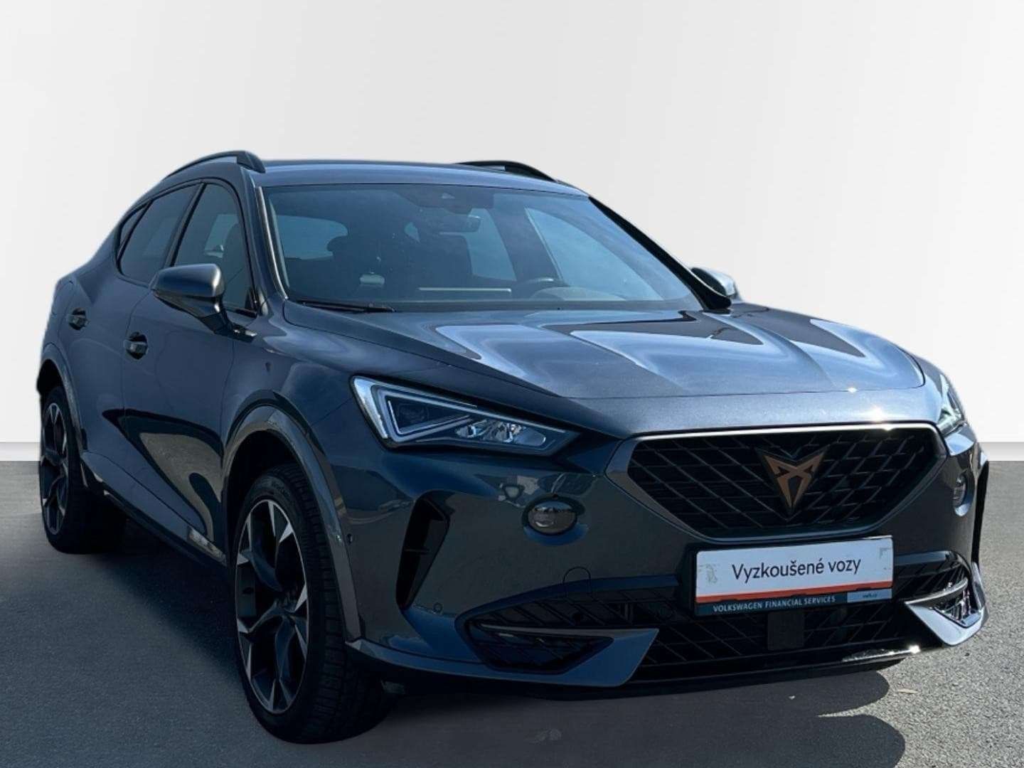 Cupra Formentor, 2.0 TSI 140 kW DSG 4Drive - fotka 6