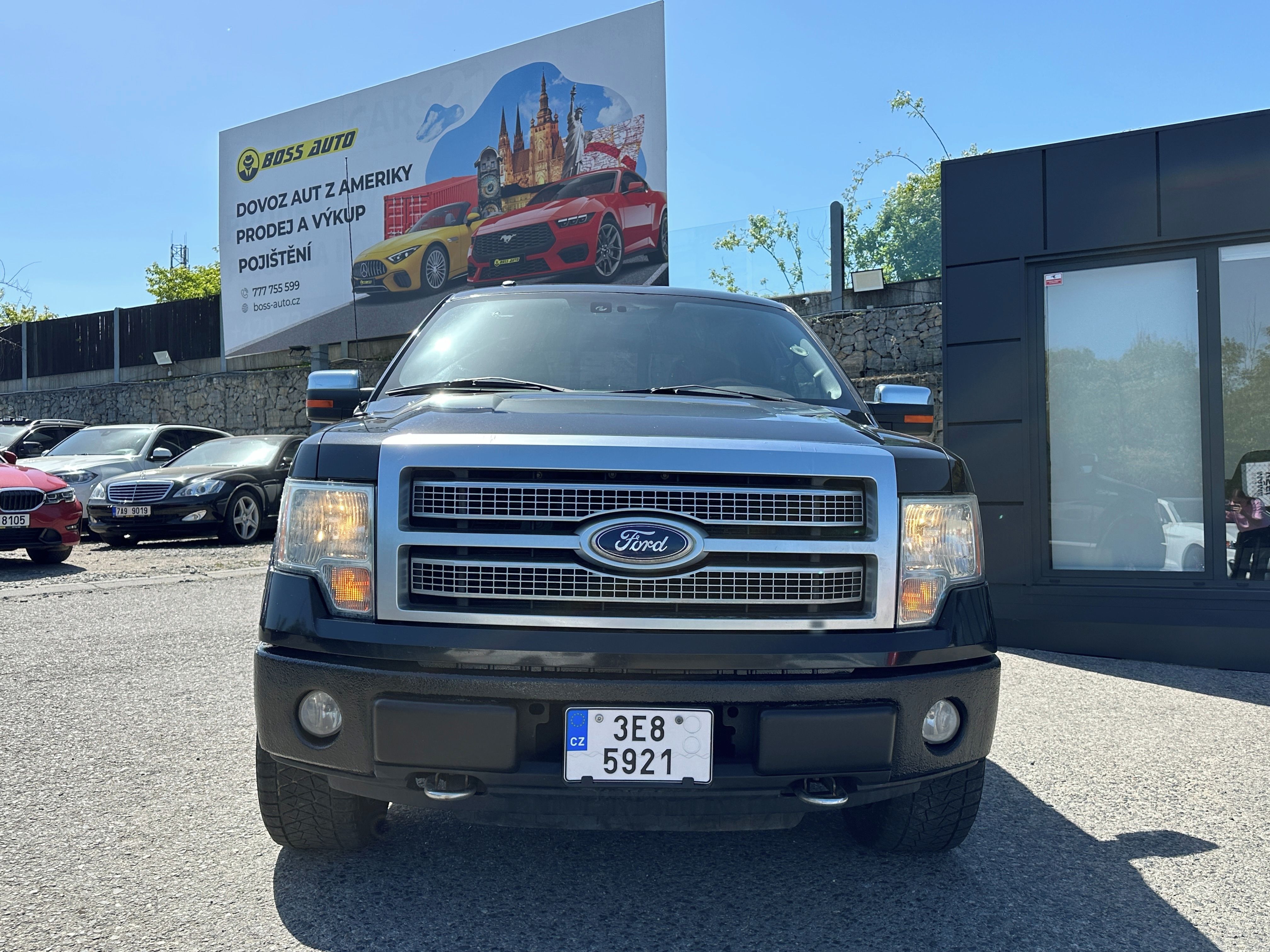 Ford F-150, Ford F-150 2010 - fotka 3