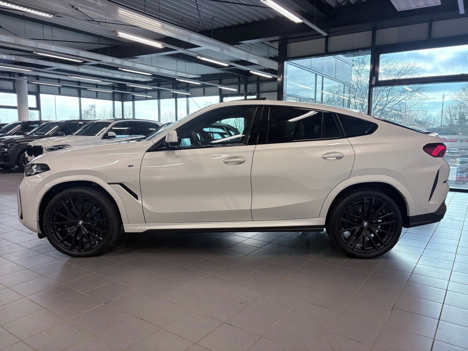BMW X6, X6 xDrive40d M Sport Pro PANO - fotka 3