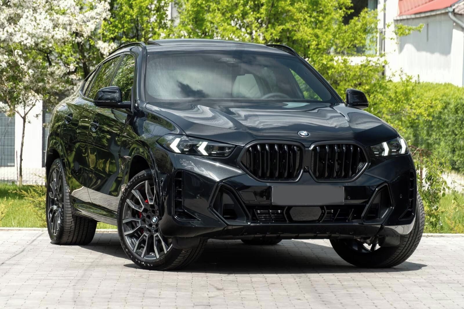 BMW X6, X6 40d M SPORT.DR.ASS.SOFTC.SK - fotka 3