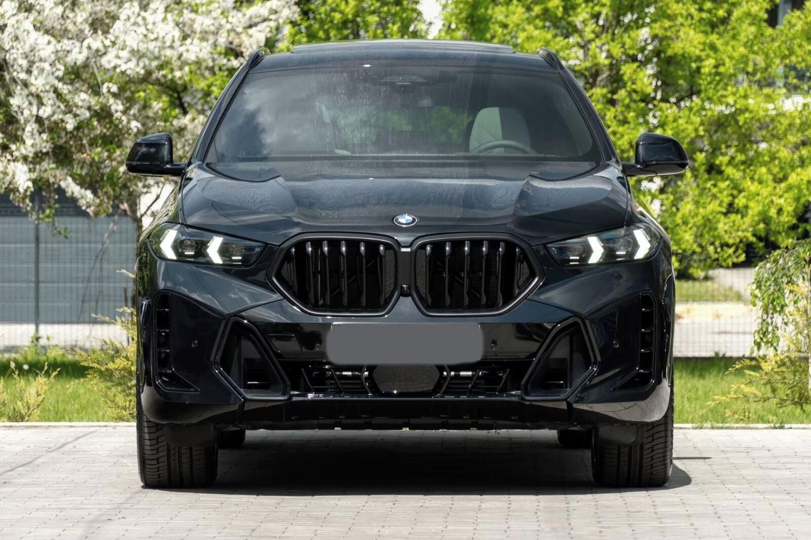 BMW X6, X6 40d M SPORT.DR.ASS.SOFTC.SK - fotka 5