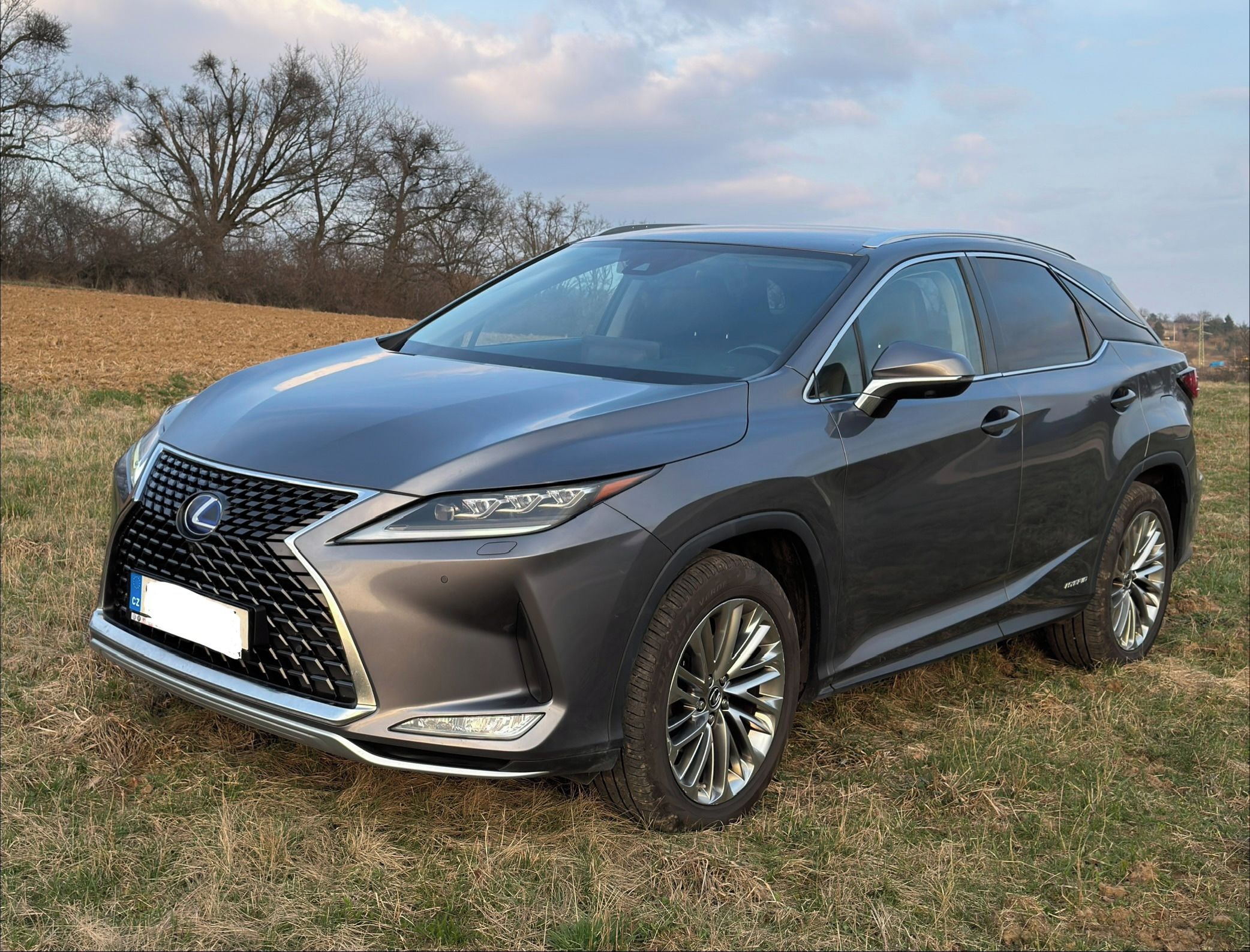 Lexus RX, Lexus RX450h AWD Mark Levinson