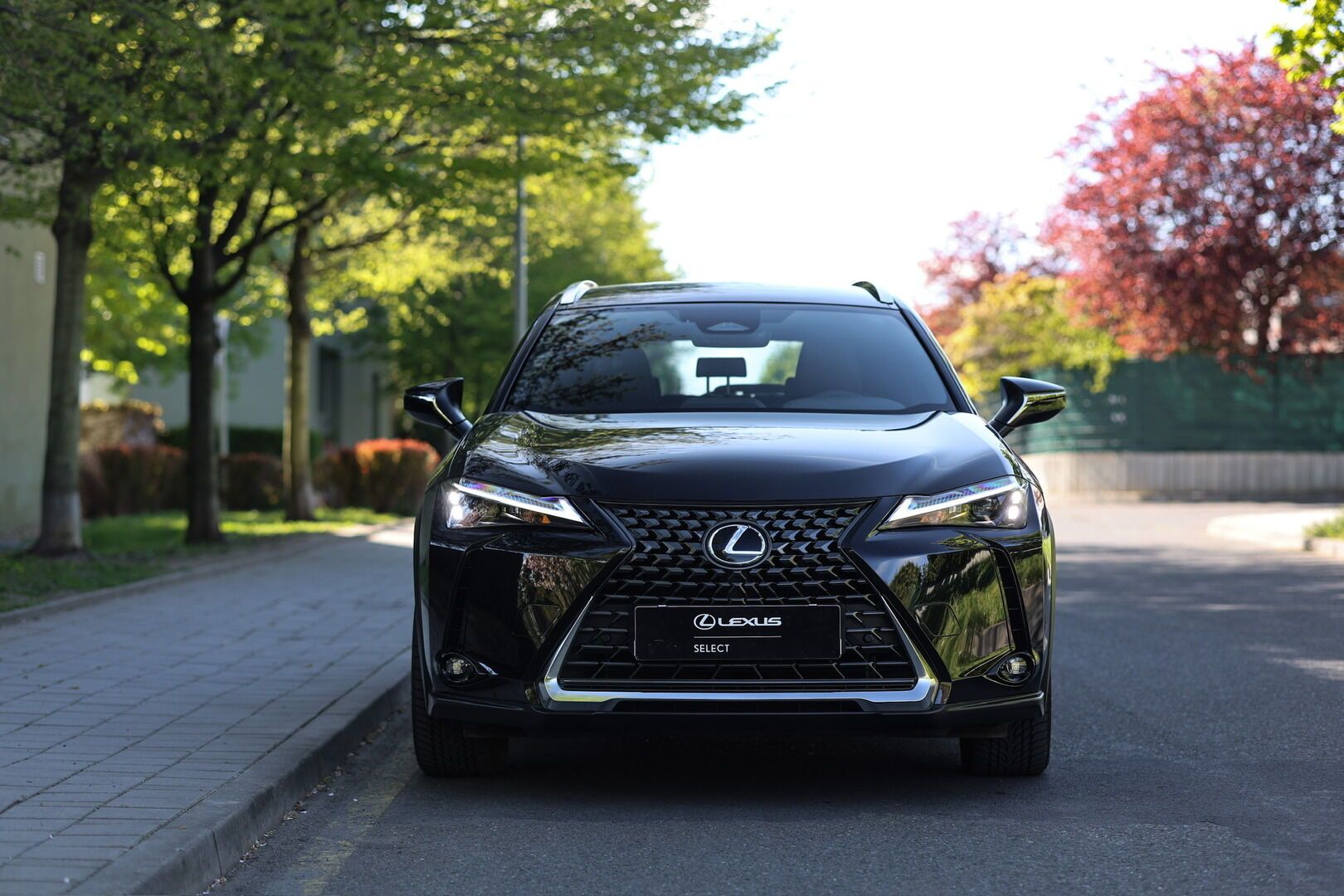 Lexus UX 300h, 300H 2.0 HEV BUSINESS TECH - fotka 3