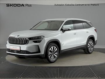 TDI142 kW Exclusive Selection
