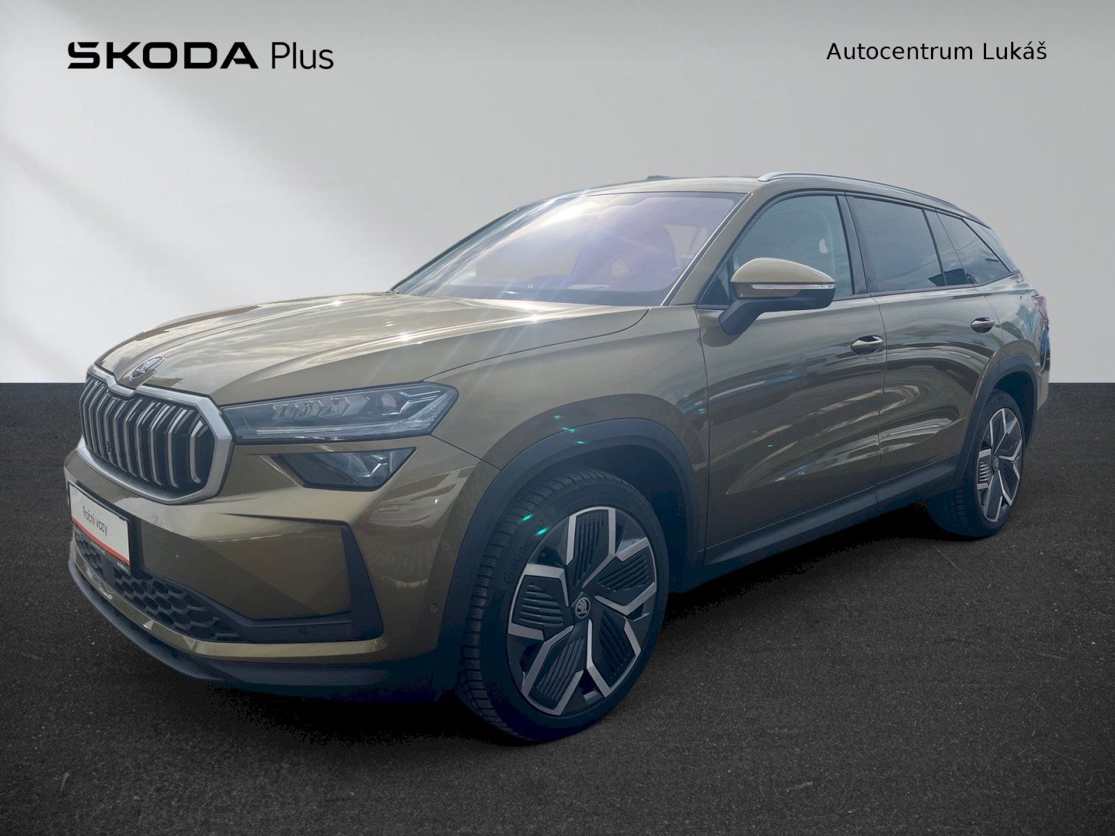 Škoda Kodiaq, EXCLUSIVE SELECTION 2.0 TDI 14