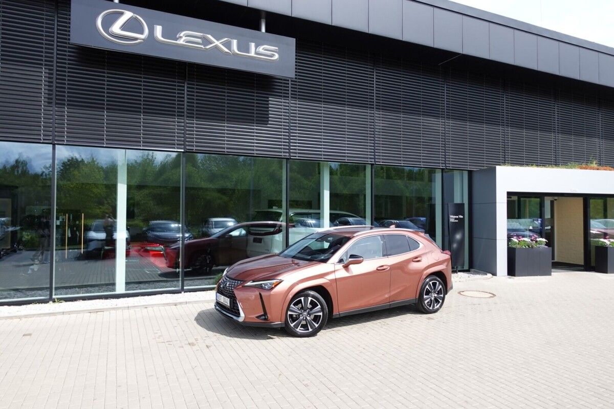 Lexus UX 300h, UX300h Luxury 4x4