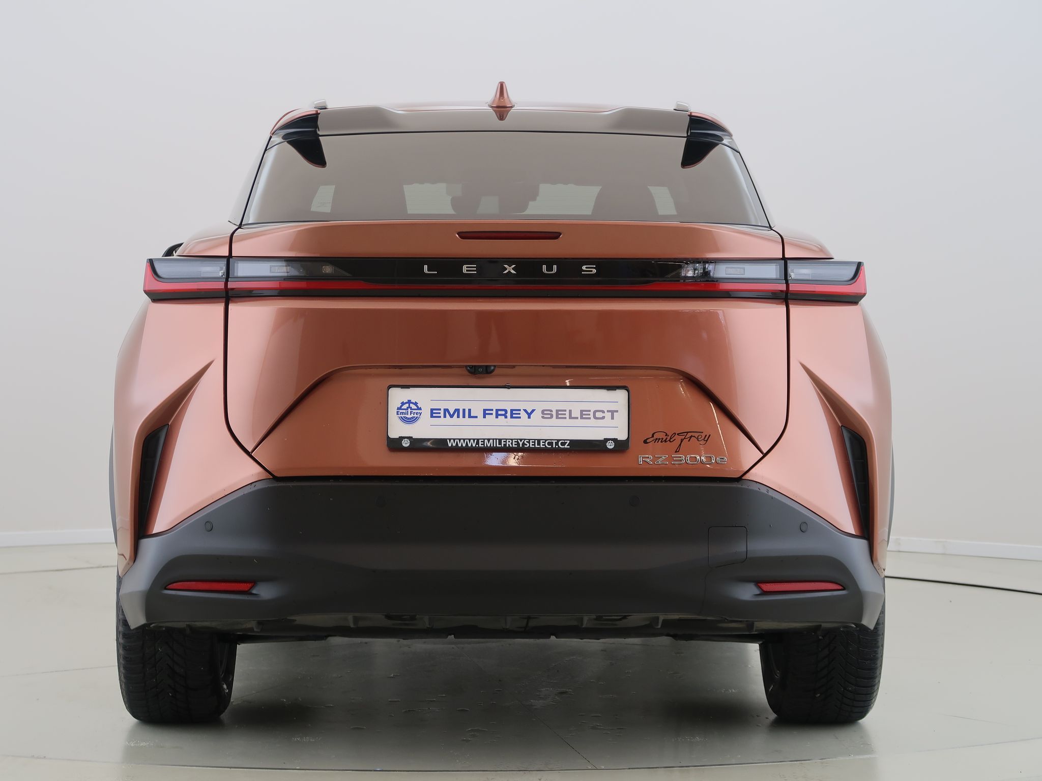 Lexus, RZ,Executive,150KW,71,4kWh,CZ - fotka 6