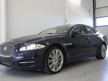 5.0 V8 PREMIUM LUXURY