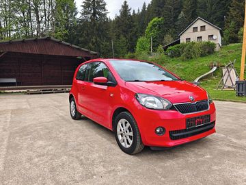 1,0MPI