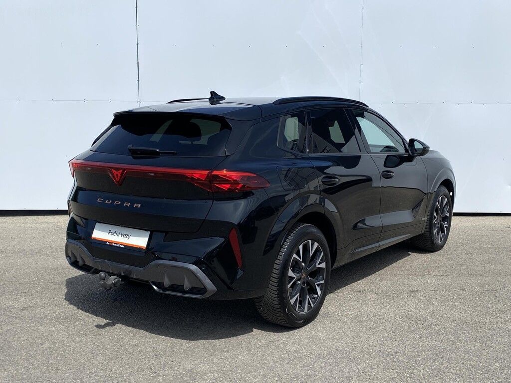 Cupra Terramar, 2,0 TSI 150 kW 4WD DSG - fotka 2