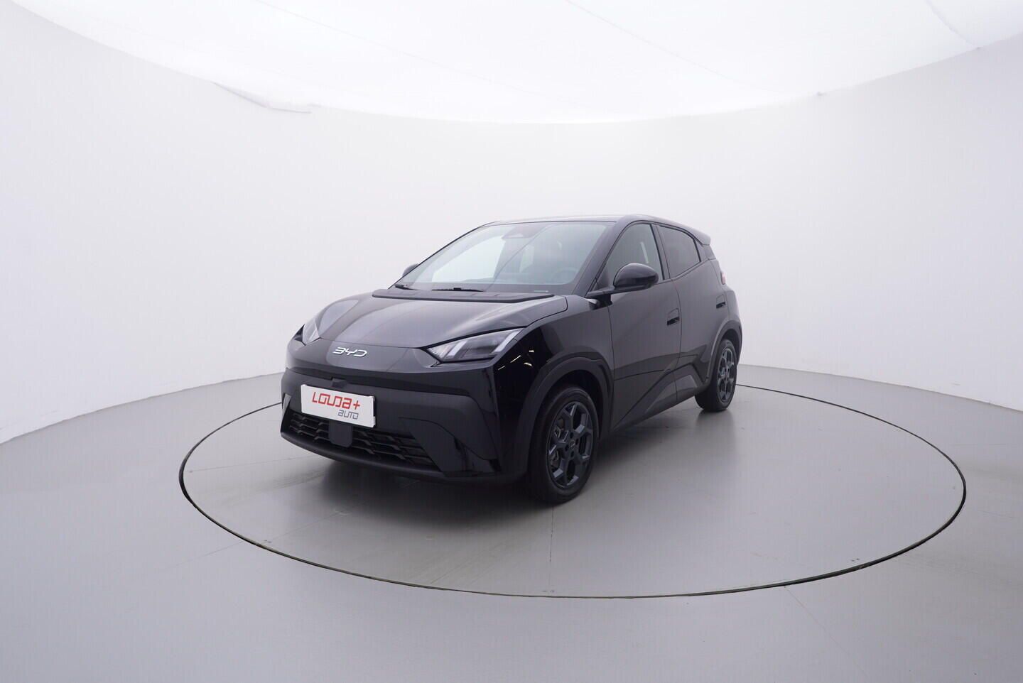 BYD Dolphin Surf, Comfort 115  kW