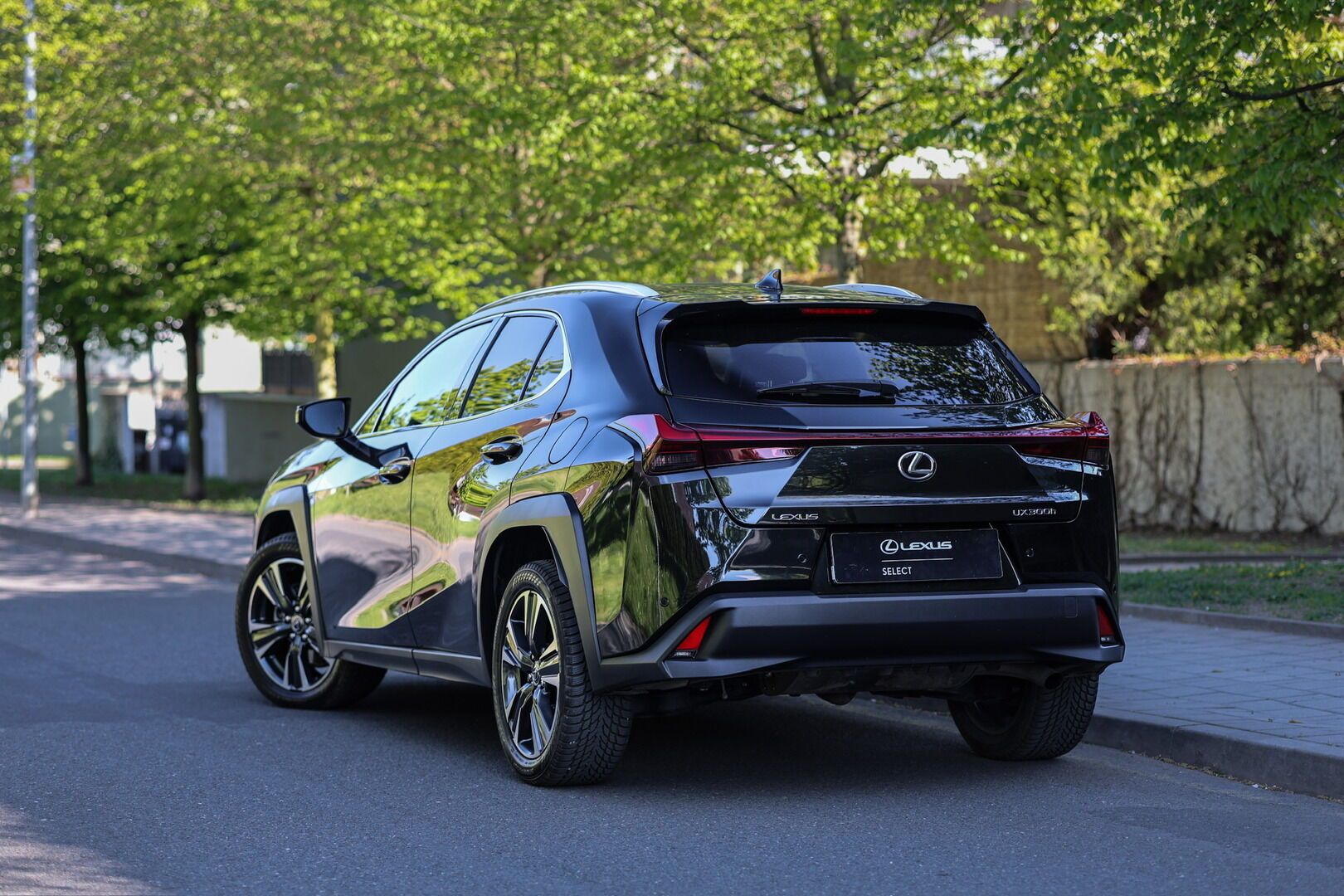 Lexus UX 300h, 300H 2.0 HEV BUSINESS TECH - fotka 5