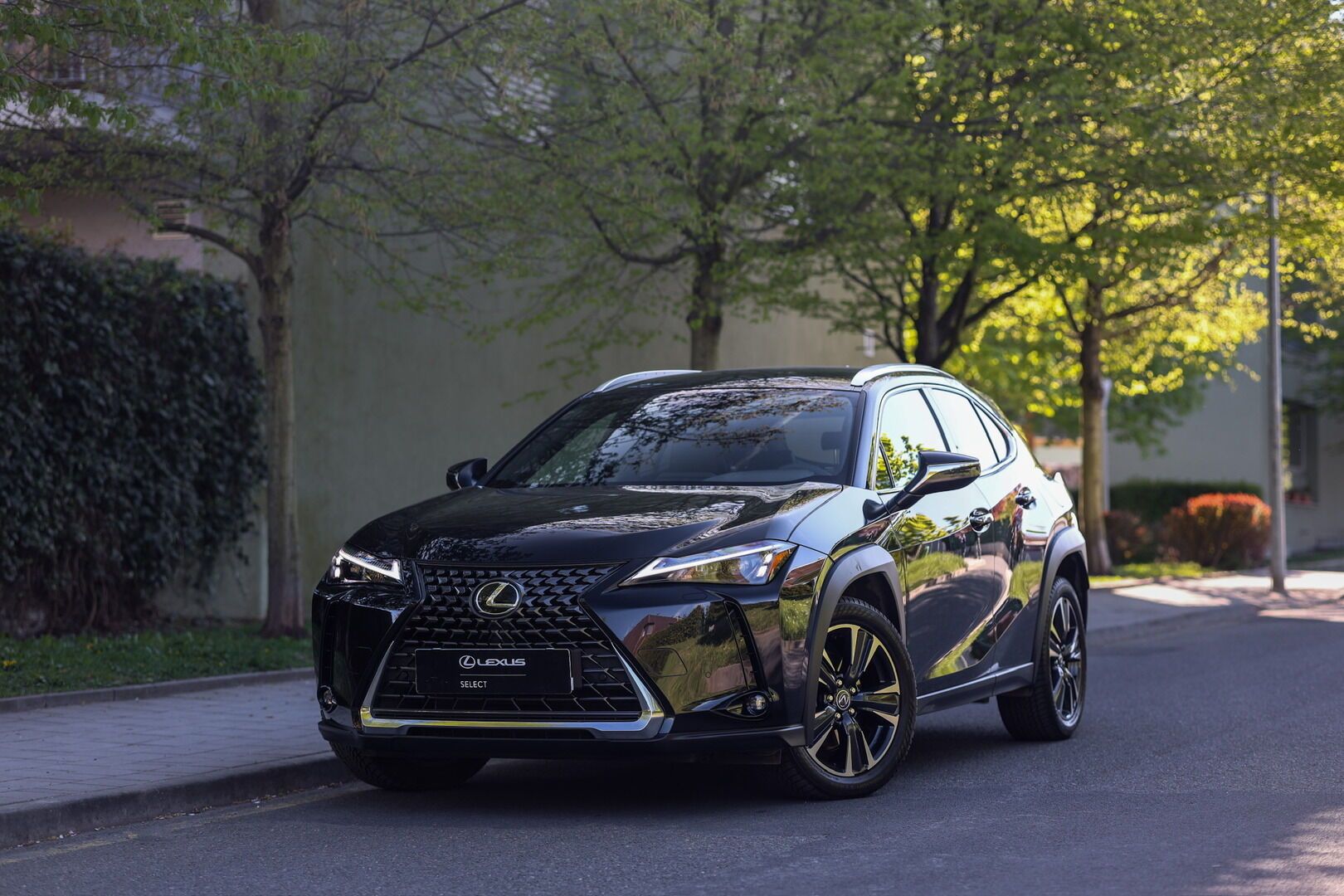 Lexus UX 300h, 300H 2.0 HEV BUSINESS TECH