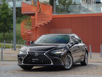 300H 2,5 HEV LUXURY
