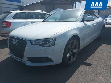 2.0 TDI, Sport