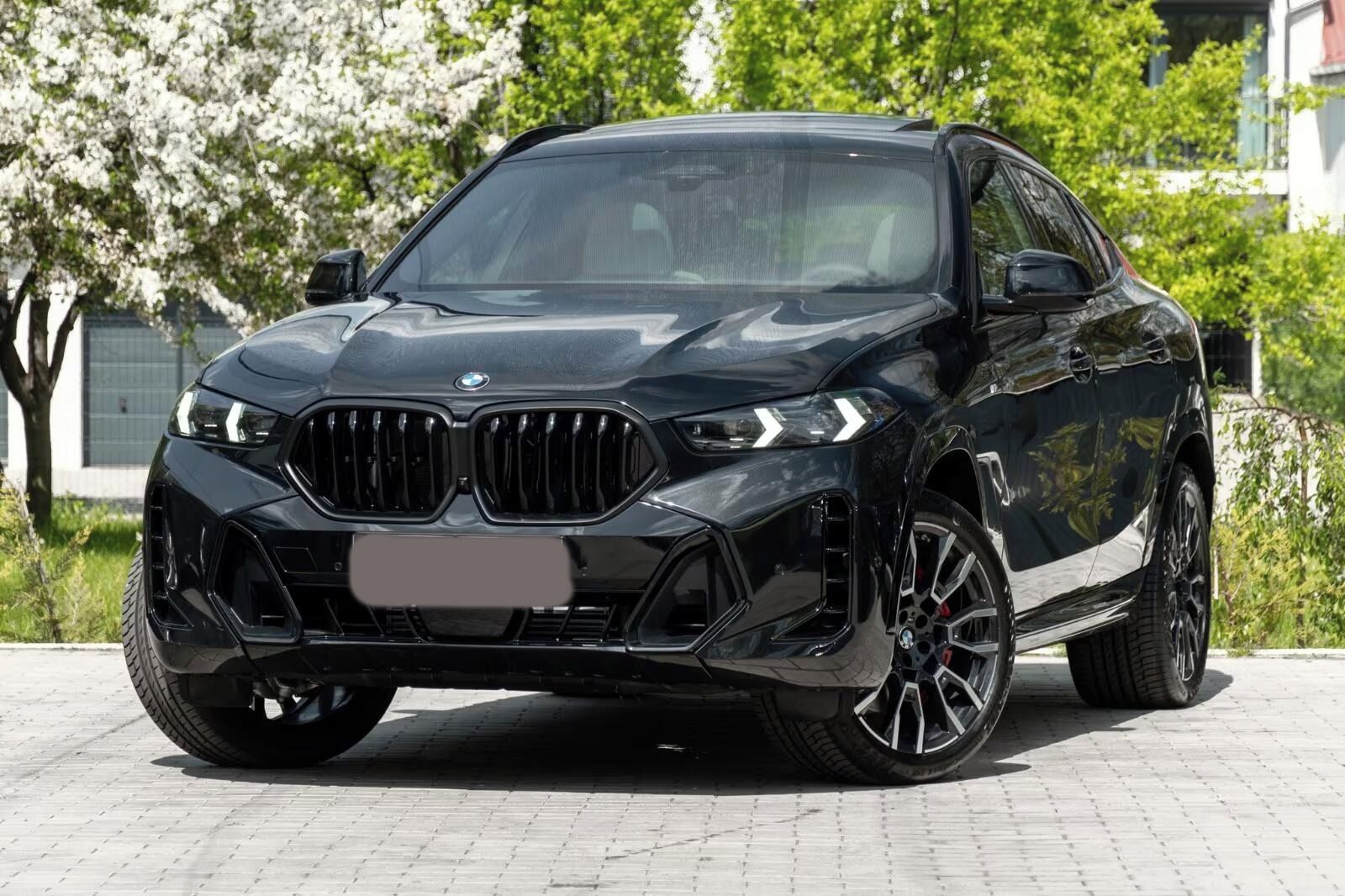 BMW X6, X6 40d M SPORT.DR.ASS.SOFTC.SK
