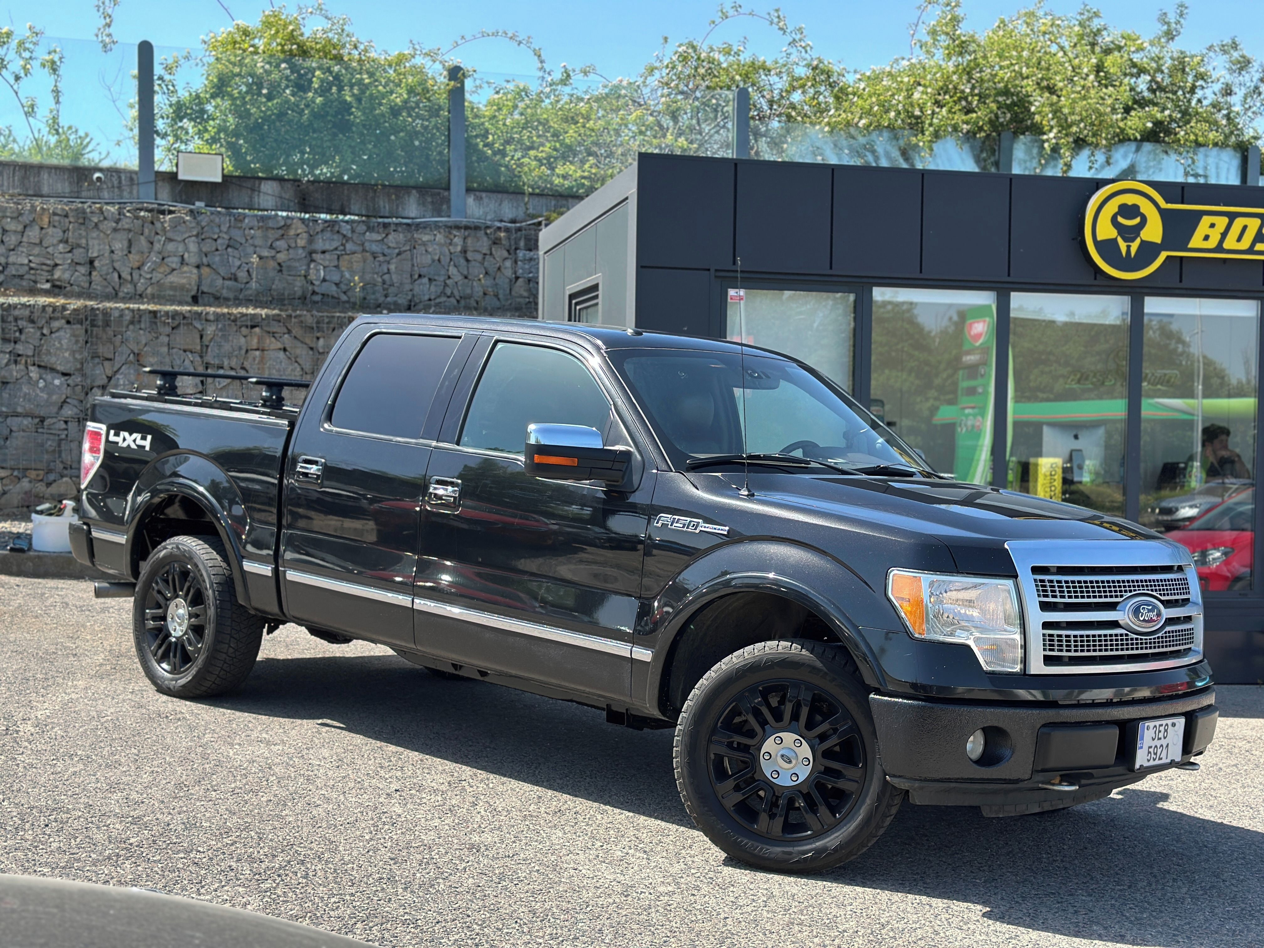 Ford F-150, Ford F-150 2010