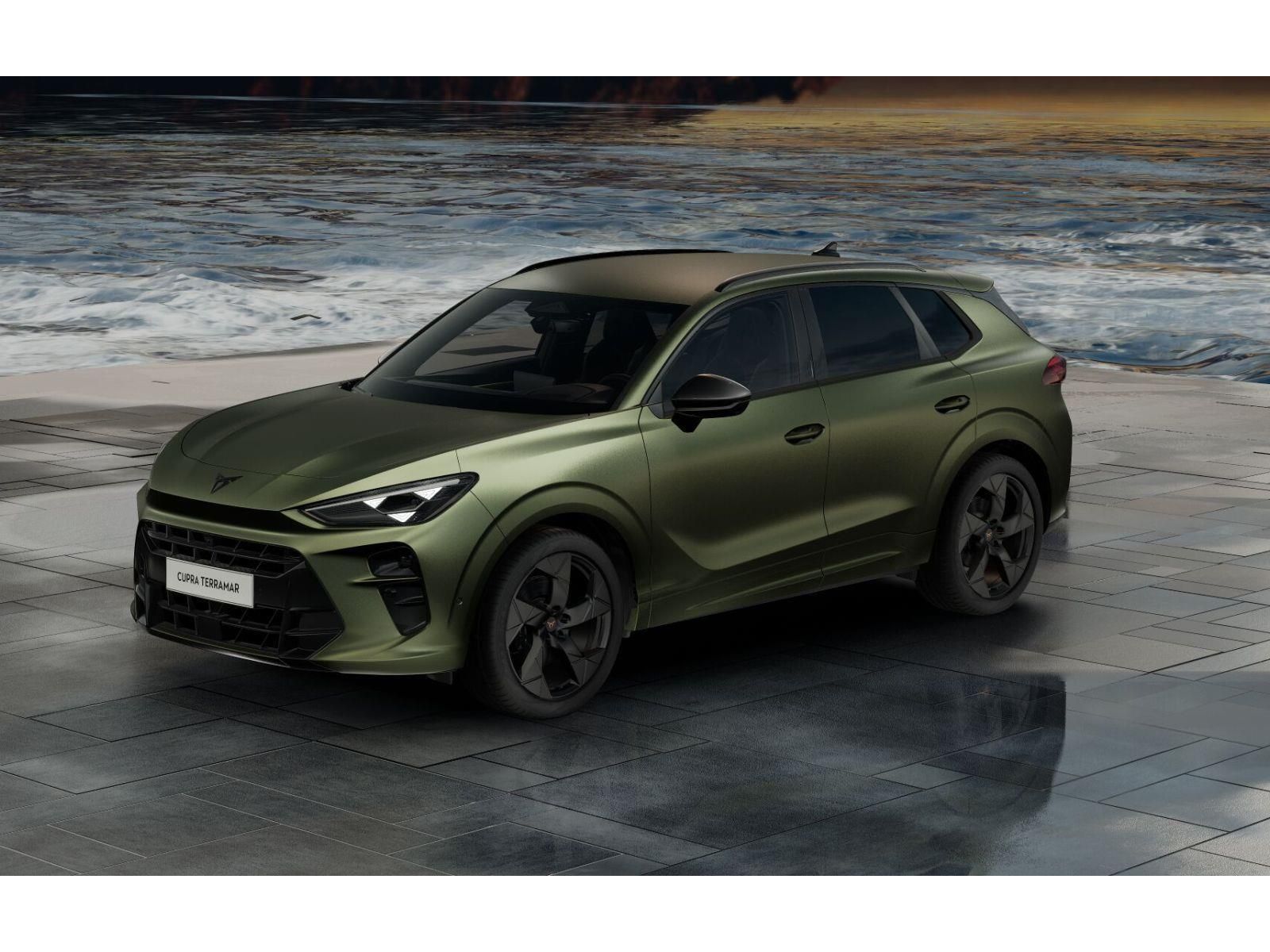 Cupra Terramar, 2.0 TSI / 195 kW