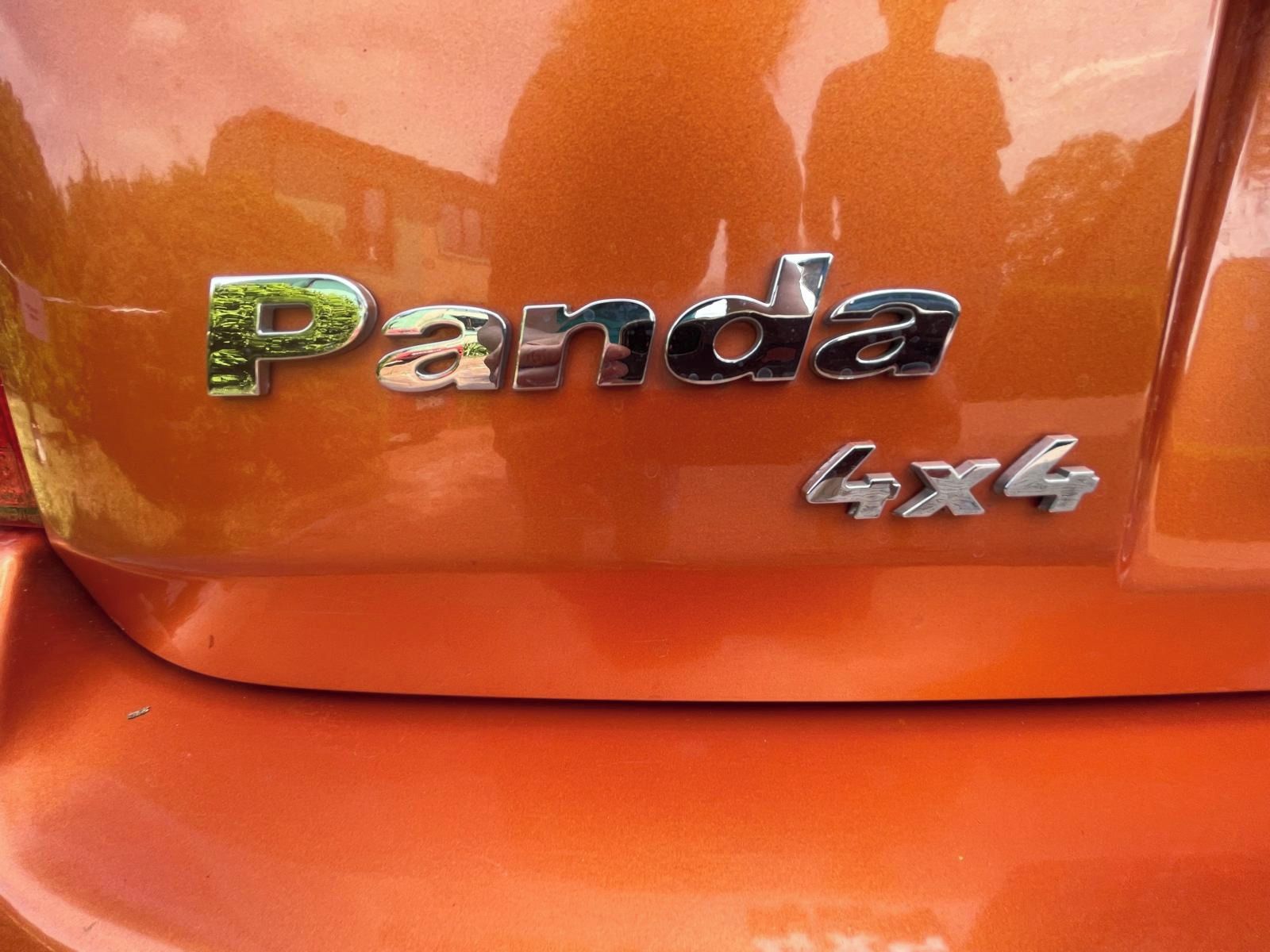 Fiat Panda, 4x4 pohon! - fotka 6