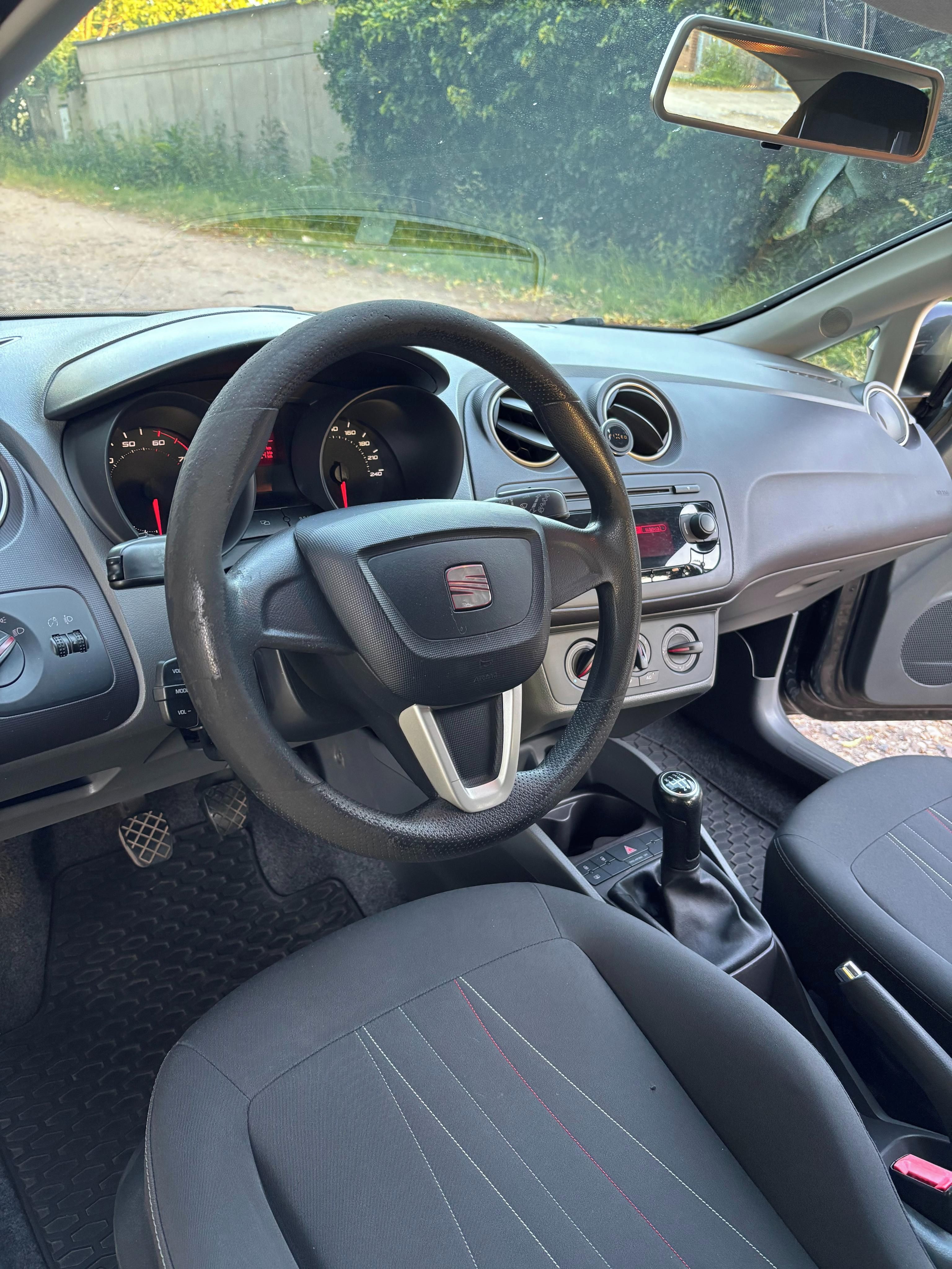 Seat Ibiza, Copa 2011 - fotka 6