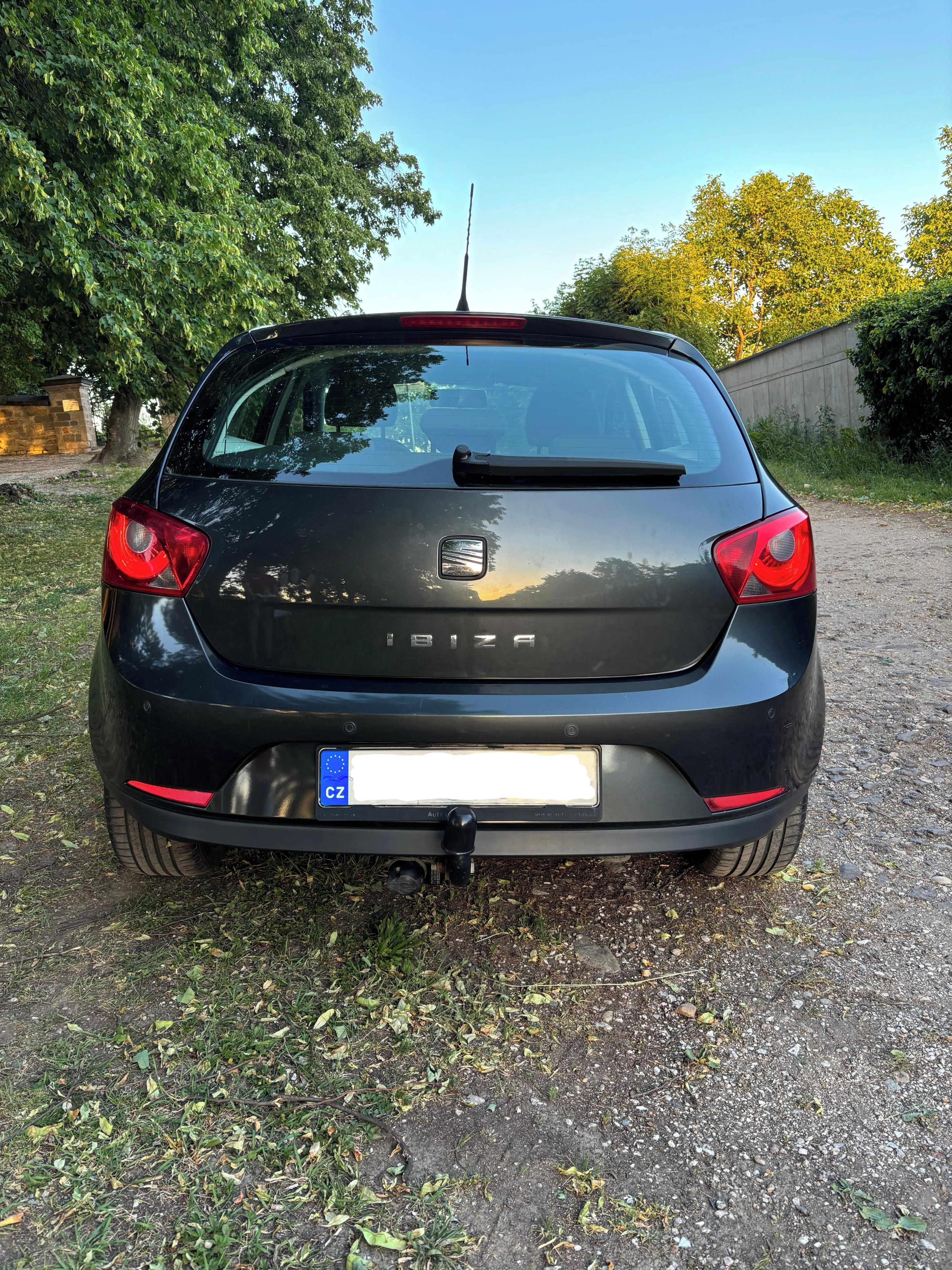 Seat Ibiza, Copa 2011 - fotka 4