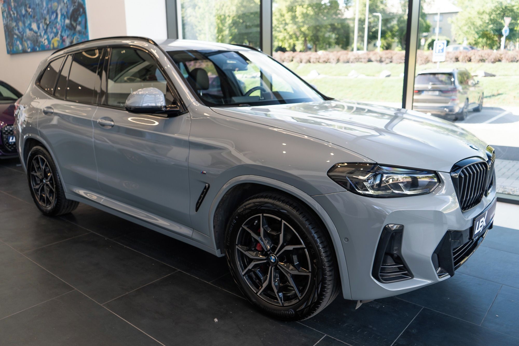 BMW X3, xDrive30d - fotka 2