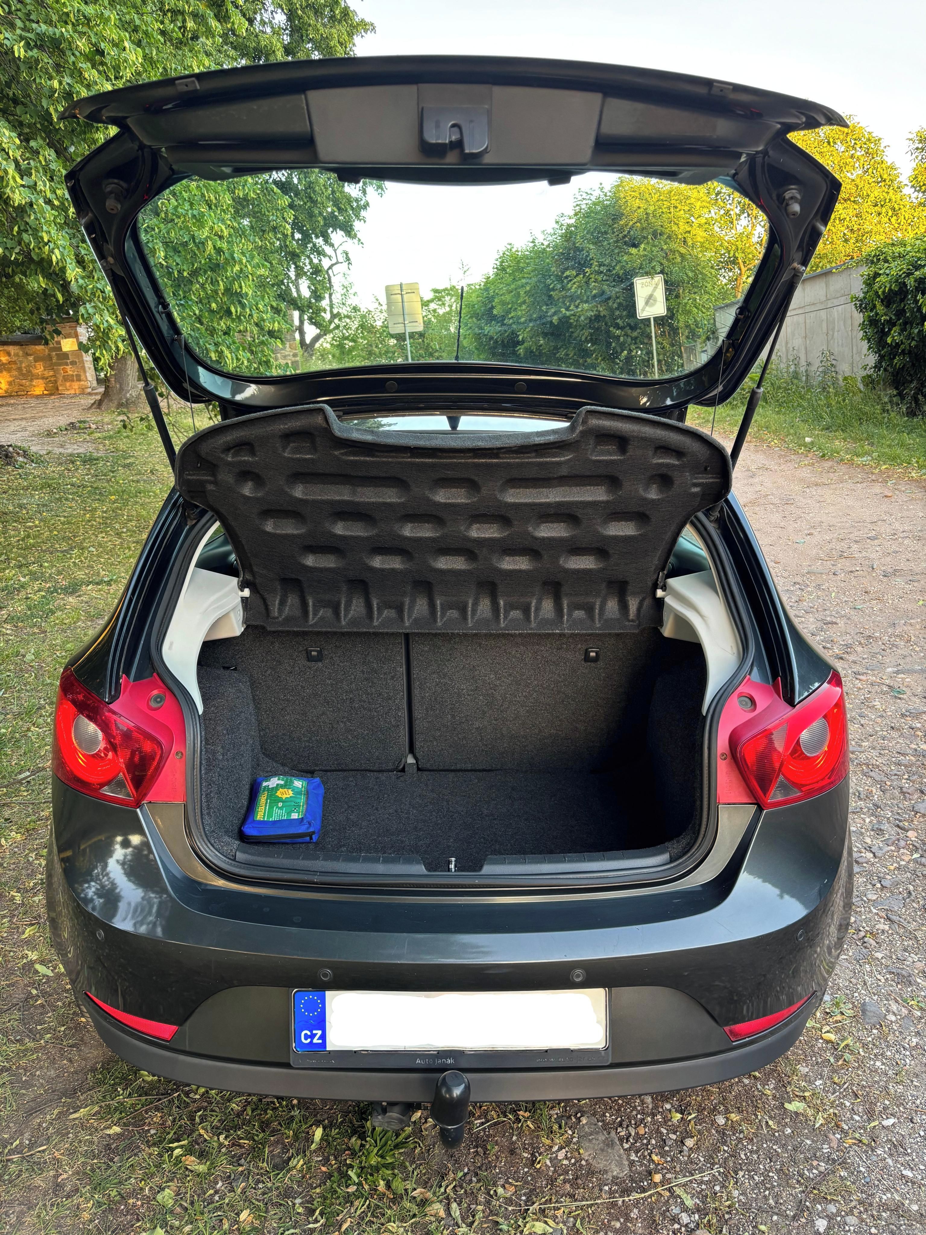 Seat Ibiza, Copa 2011 - fotka 5