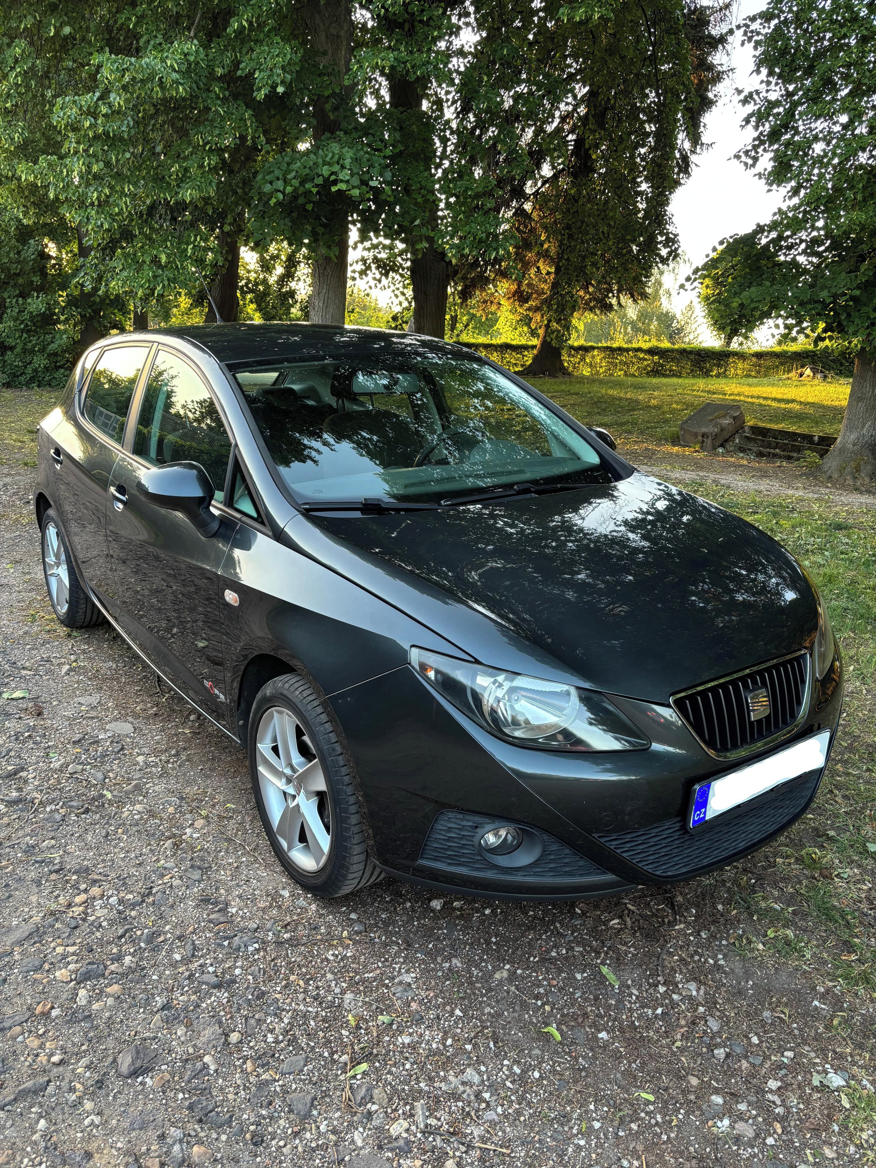 Seat Ibiza, Copa 2011