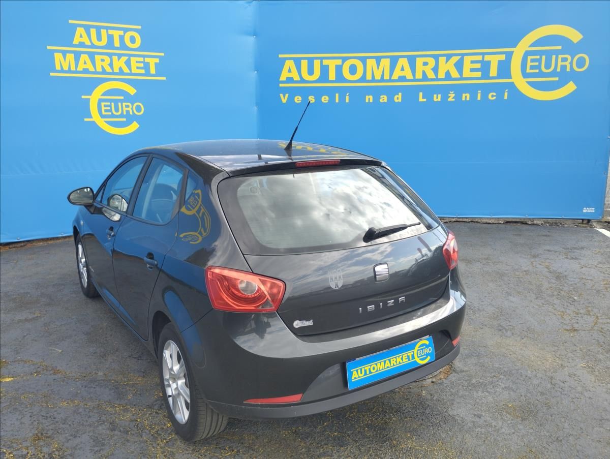 Seat Ibiza, 1,4 63KW - fotka 6