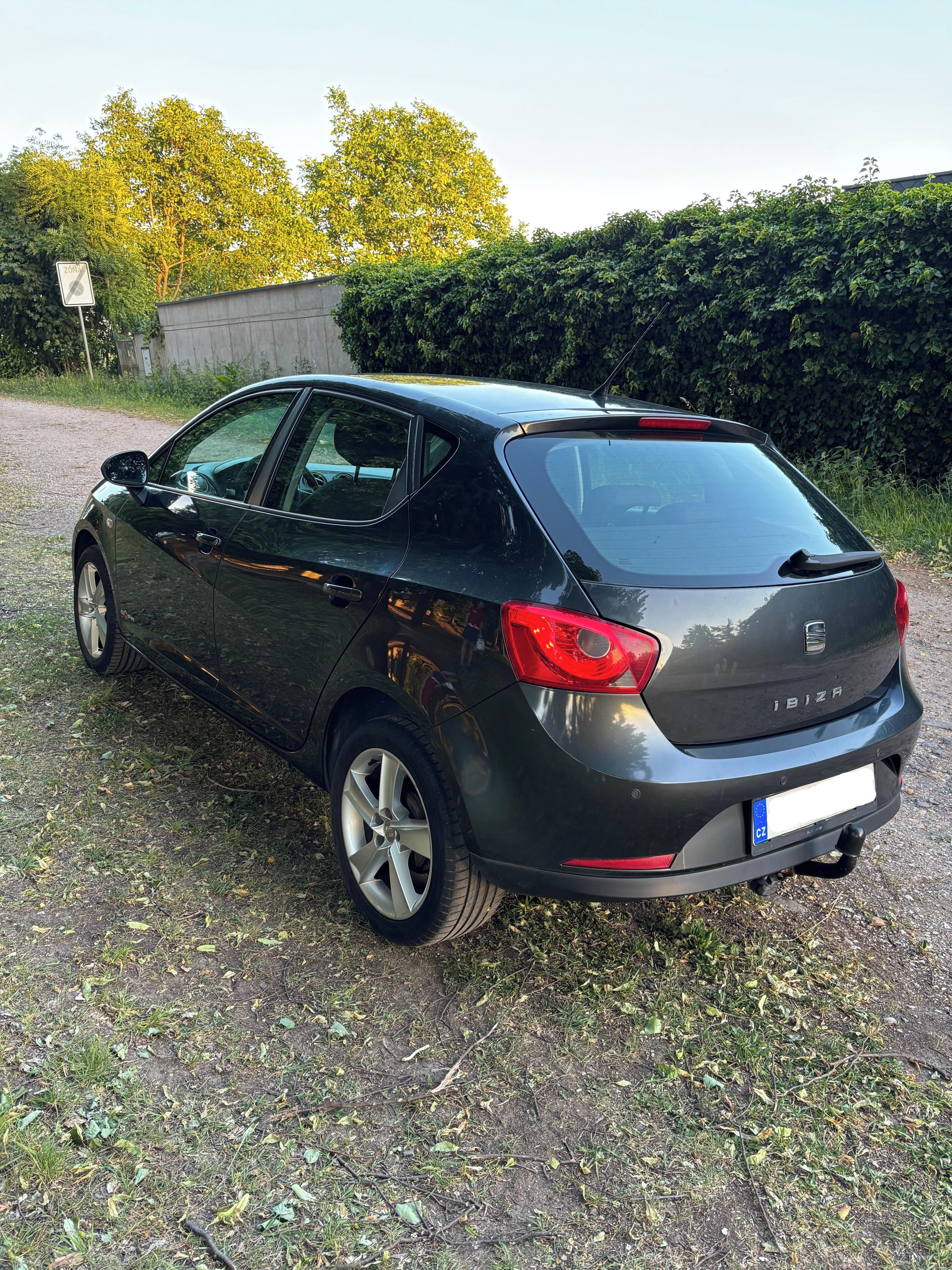 Seat Ibiza, Copa 2011 - fotka 3