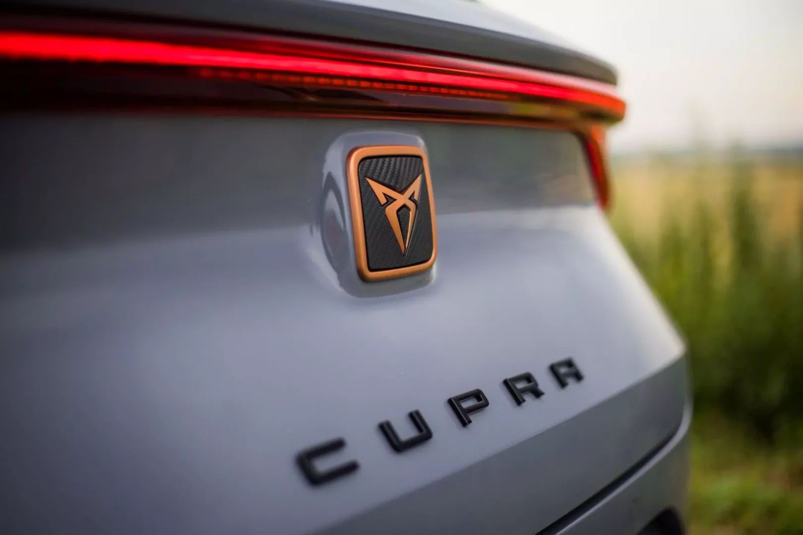 Cupra Leon, 2.0 TSI, 221kW - fotka 6