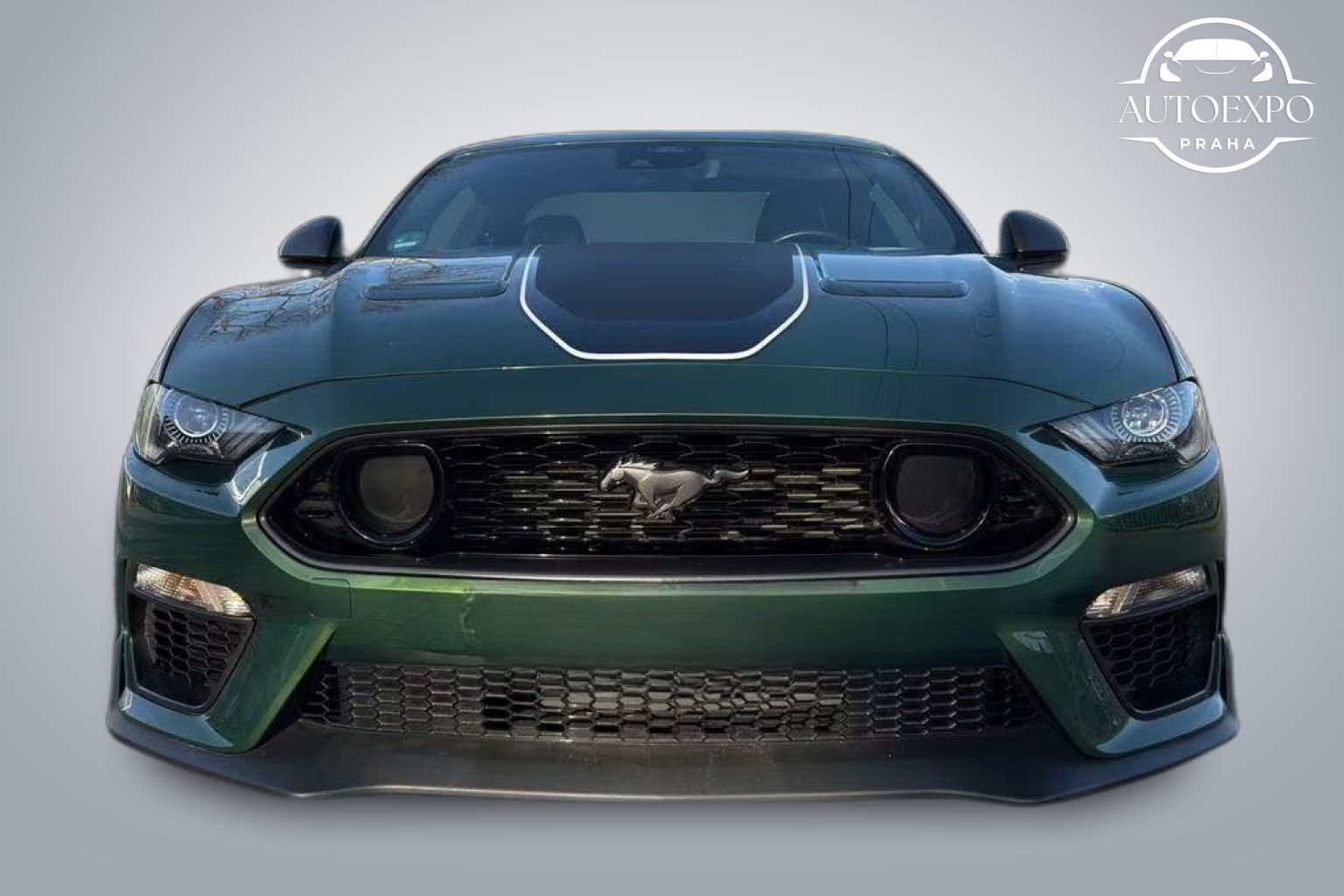 Ford Mustang, Mach 1 Fastback 5.0 Ti-VCT*LED - fotka 2