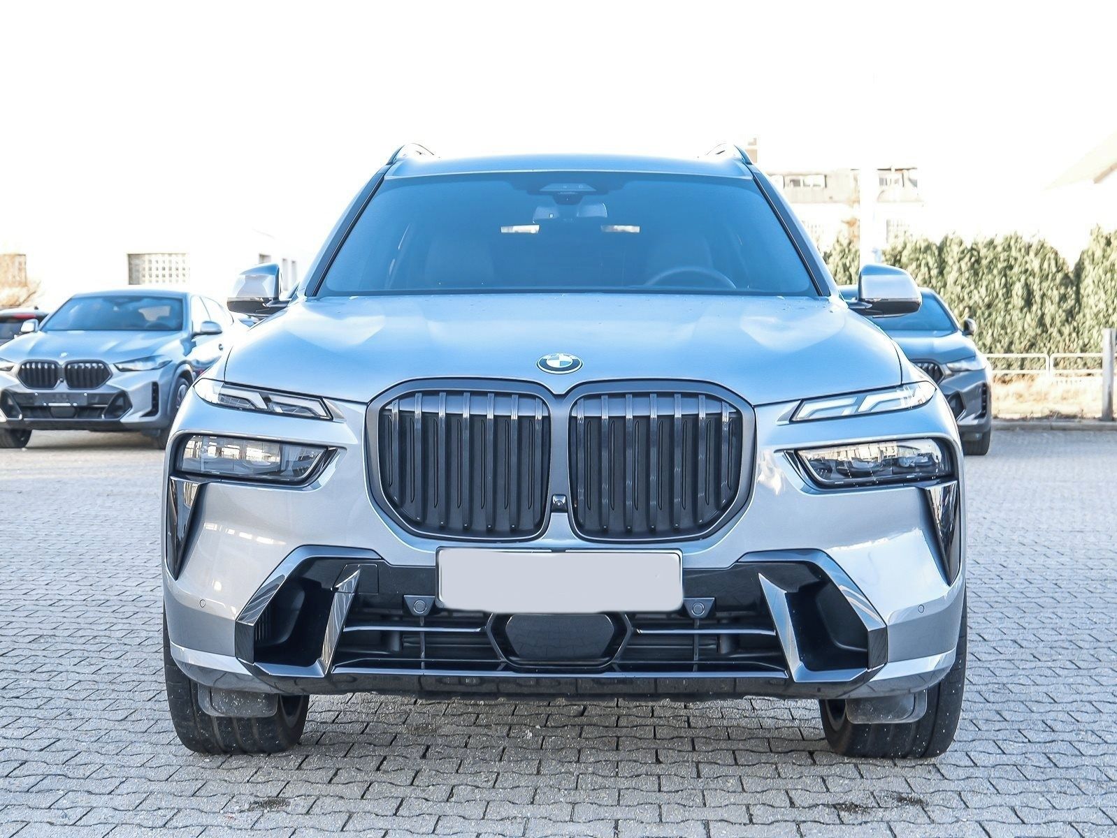 BMW X7, X7 xDrive40d M Sport Pro HUD P - fotka 3