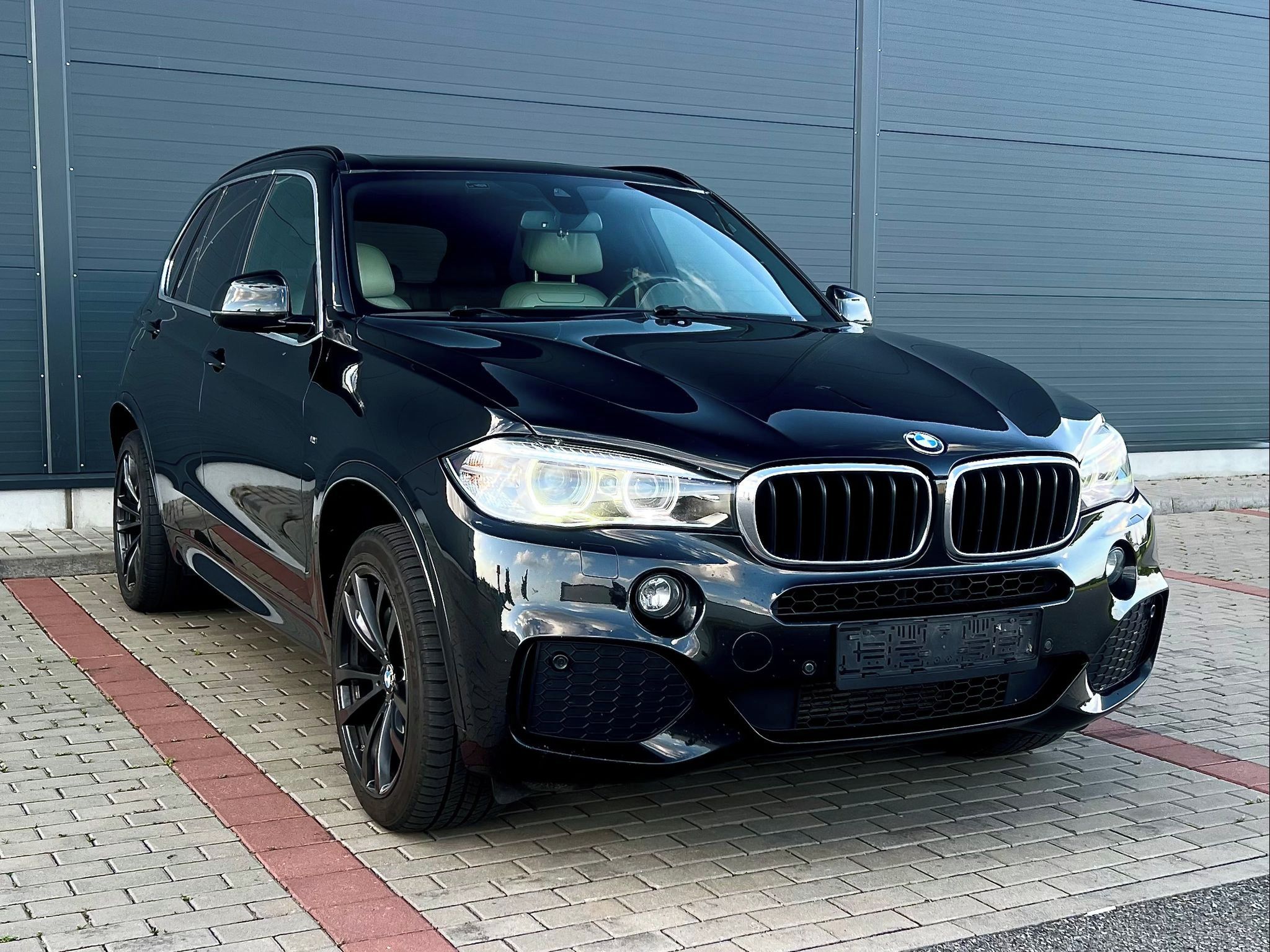 BMW X5, 30d xDrive-20"19" ALU - fotka 3