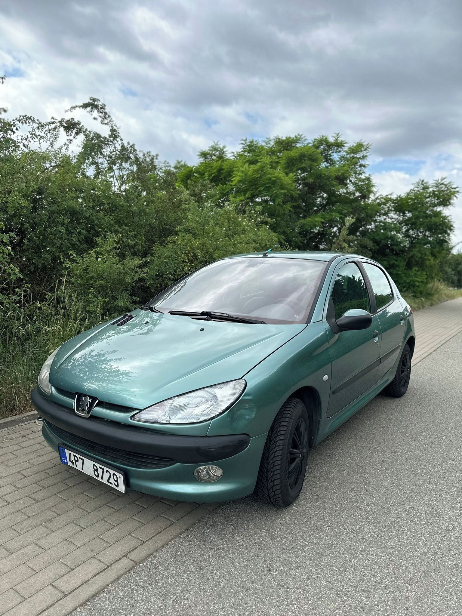 Peugeot 206, 1,4l 55kw, ideální na naučení