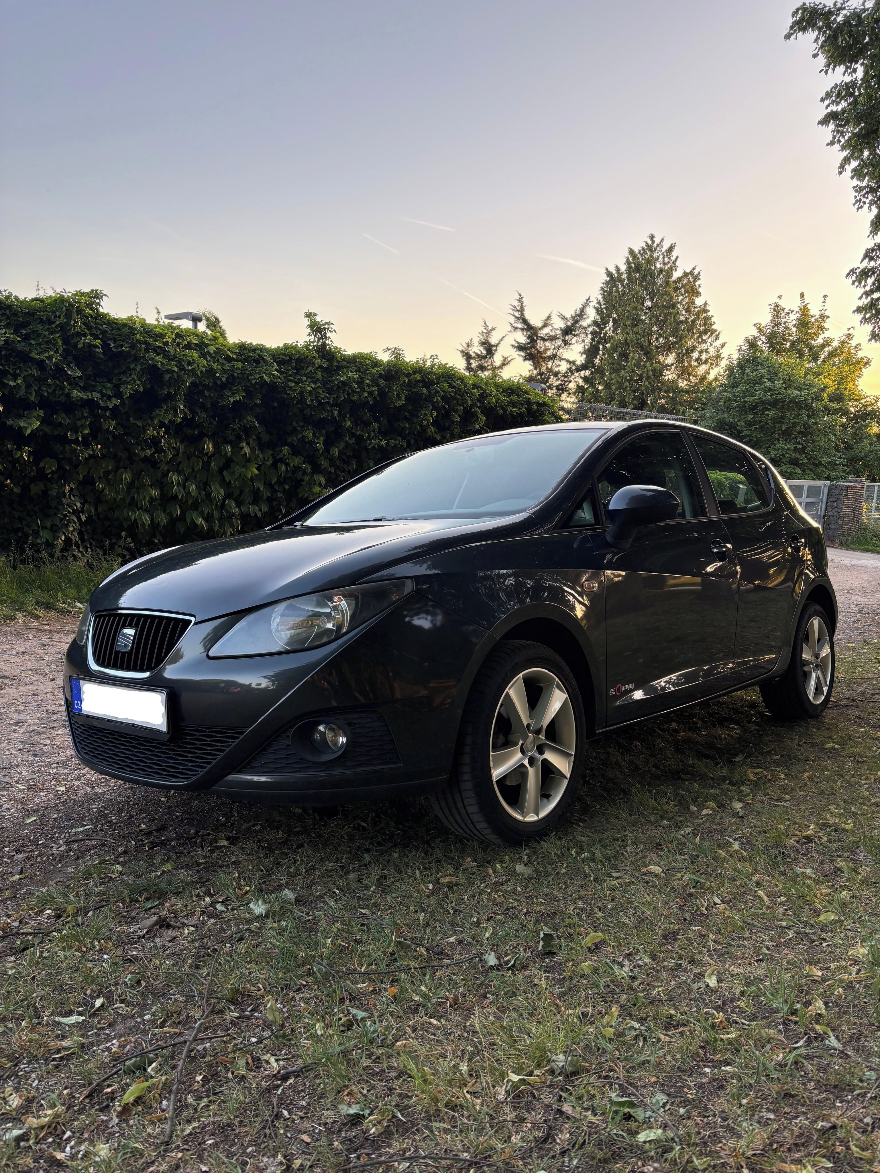 Seat Ibiza, Copa 2011 - fotka 2
