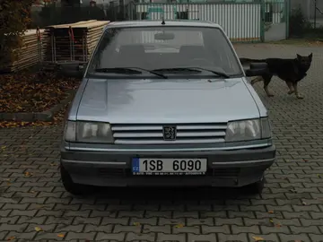 Peugeot 309, Peugeot 309
