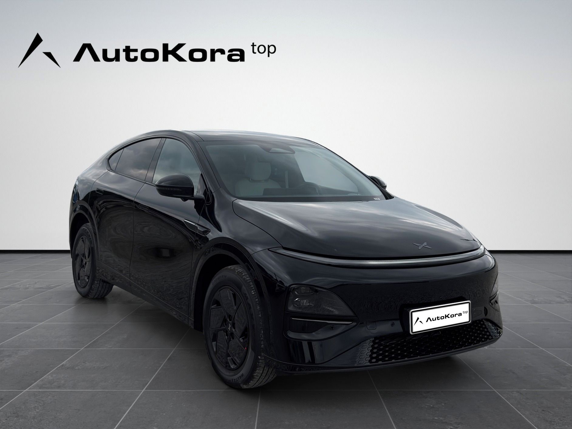 XPENG G6, RWD Long Range, 218kW
